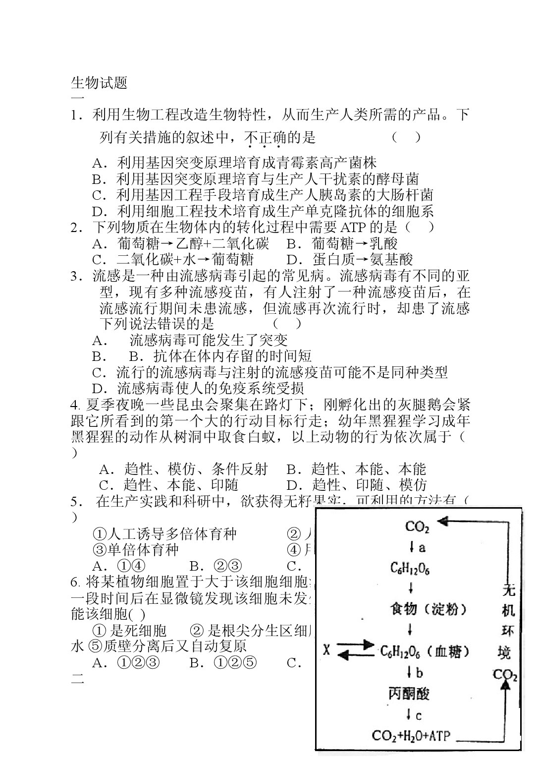 高三生物试题3.doc 第1页