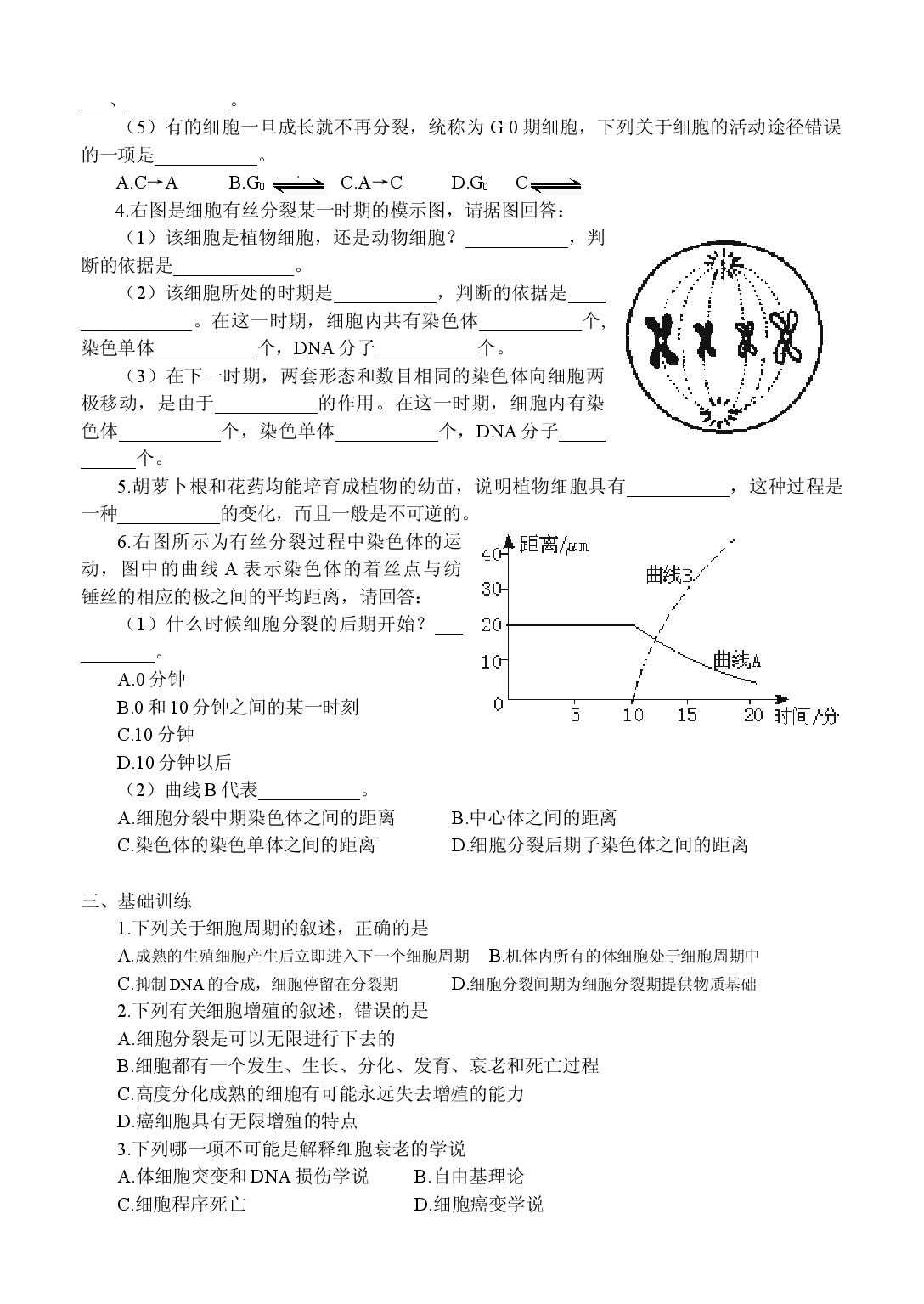高三生物细胞增殖测试题.doc 第2页