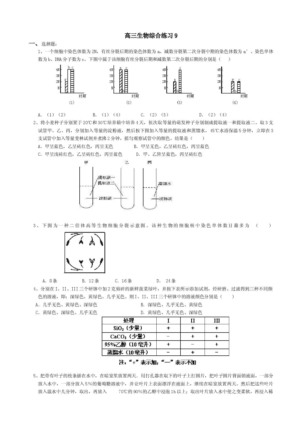 高三生物综合练习9.doc 第1页
