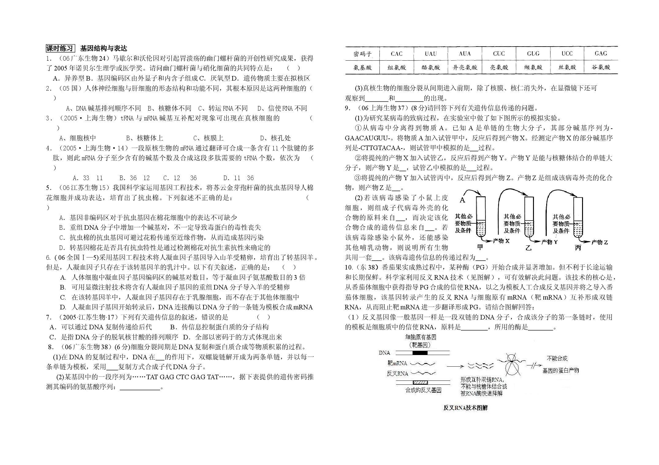基因结构与表达.doc 第1页