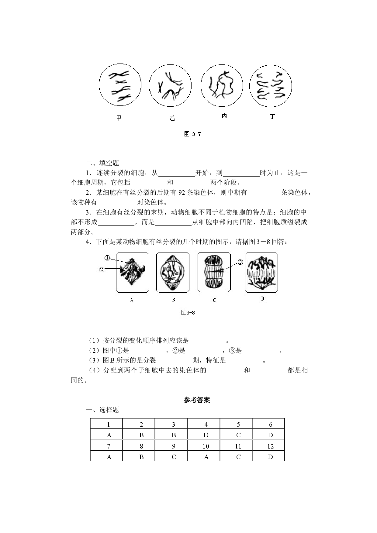 细胞的分裂知能强化训练.doc 第2页
