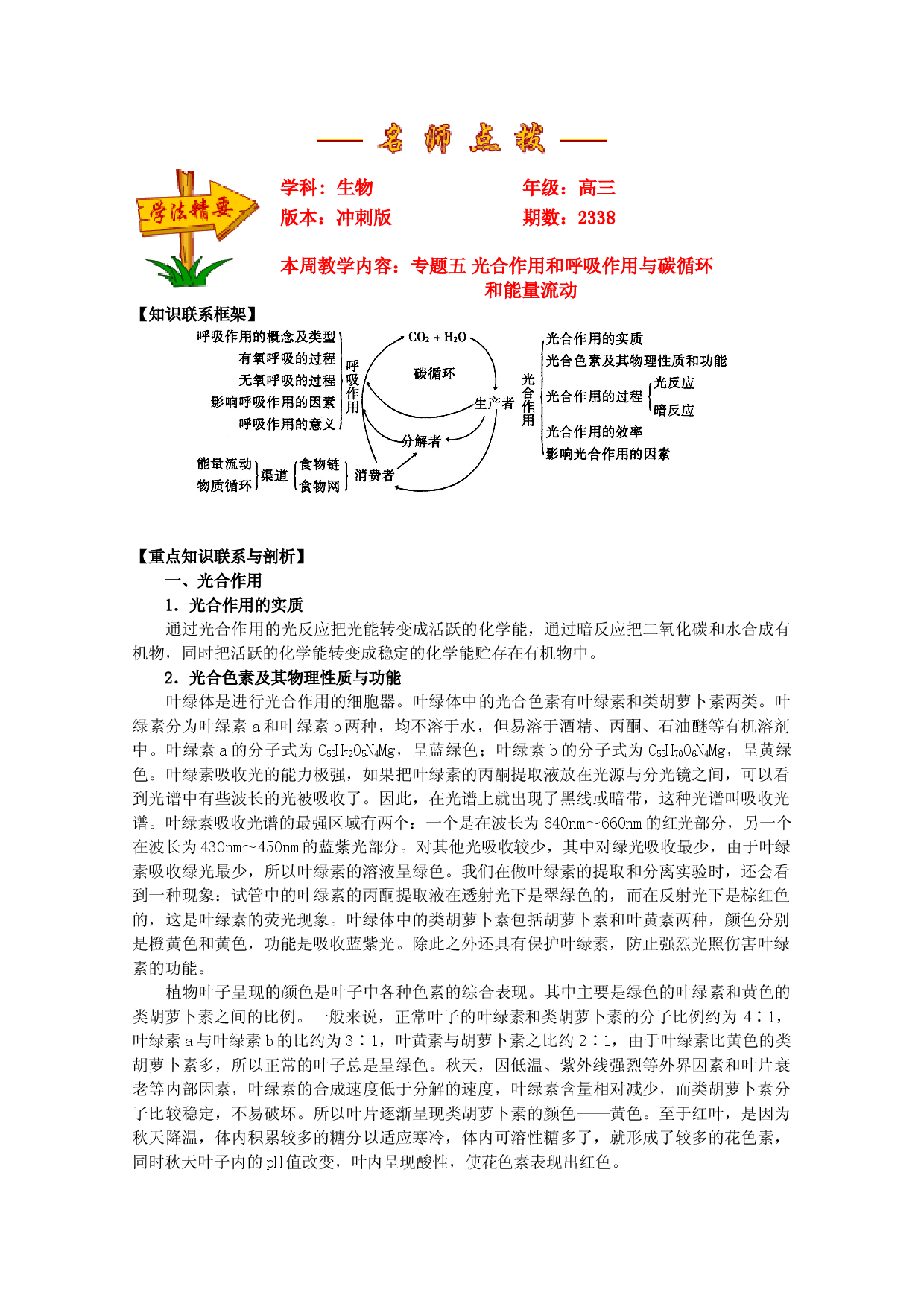 专题五光合作用和呼吸作用与碳循环和能量流动.doc 第1页