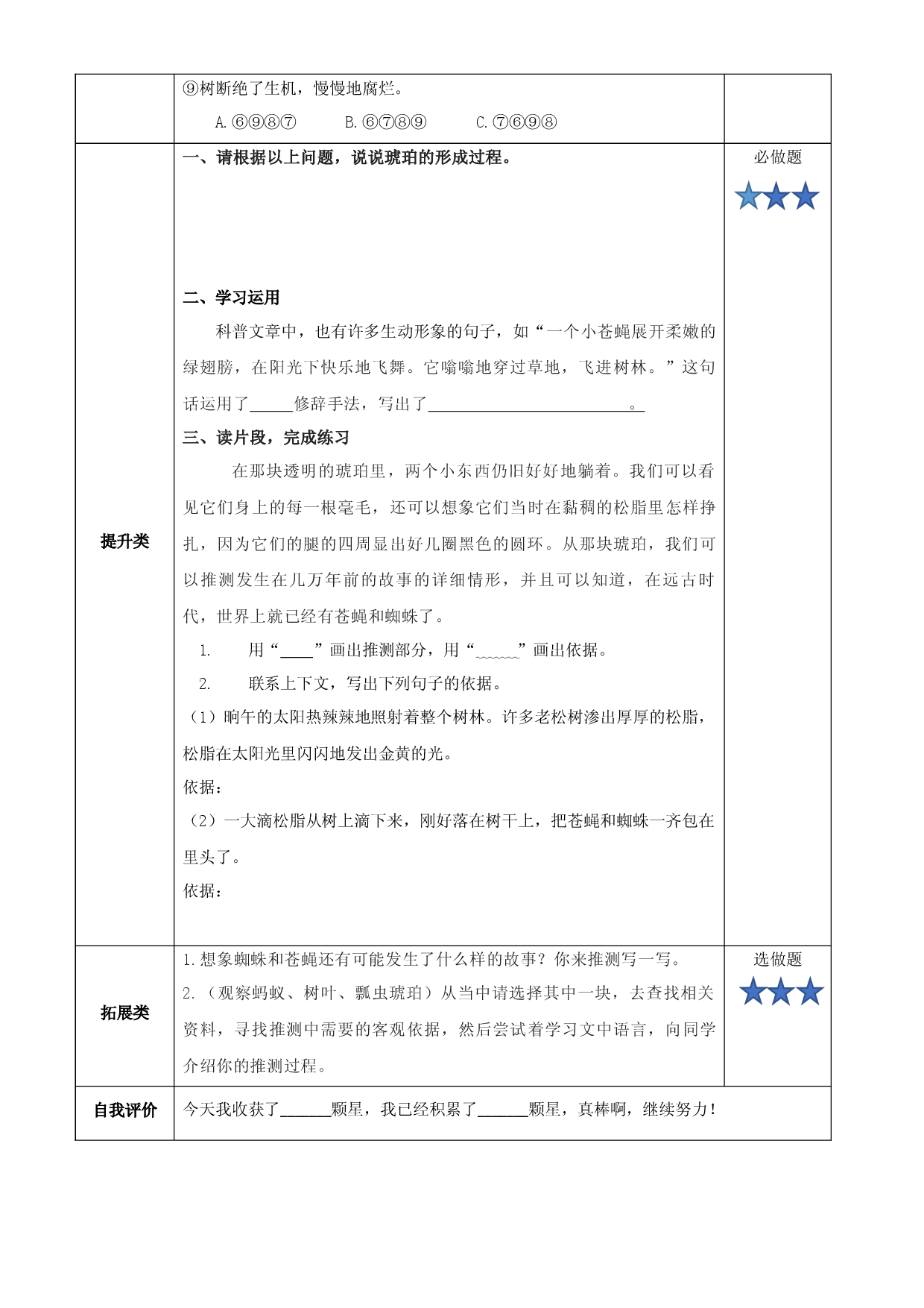 第5课《琥珀》第二课时四年级语文下册部编版.docx 第2页
