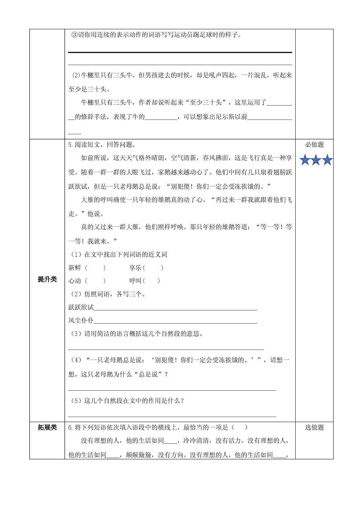 第6课《骑鹅旅行记（节选）》试卷练习 六年级语文下册部编版.docx 第2页