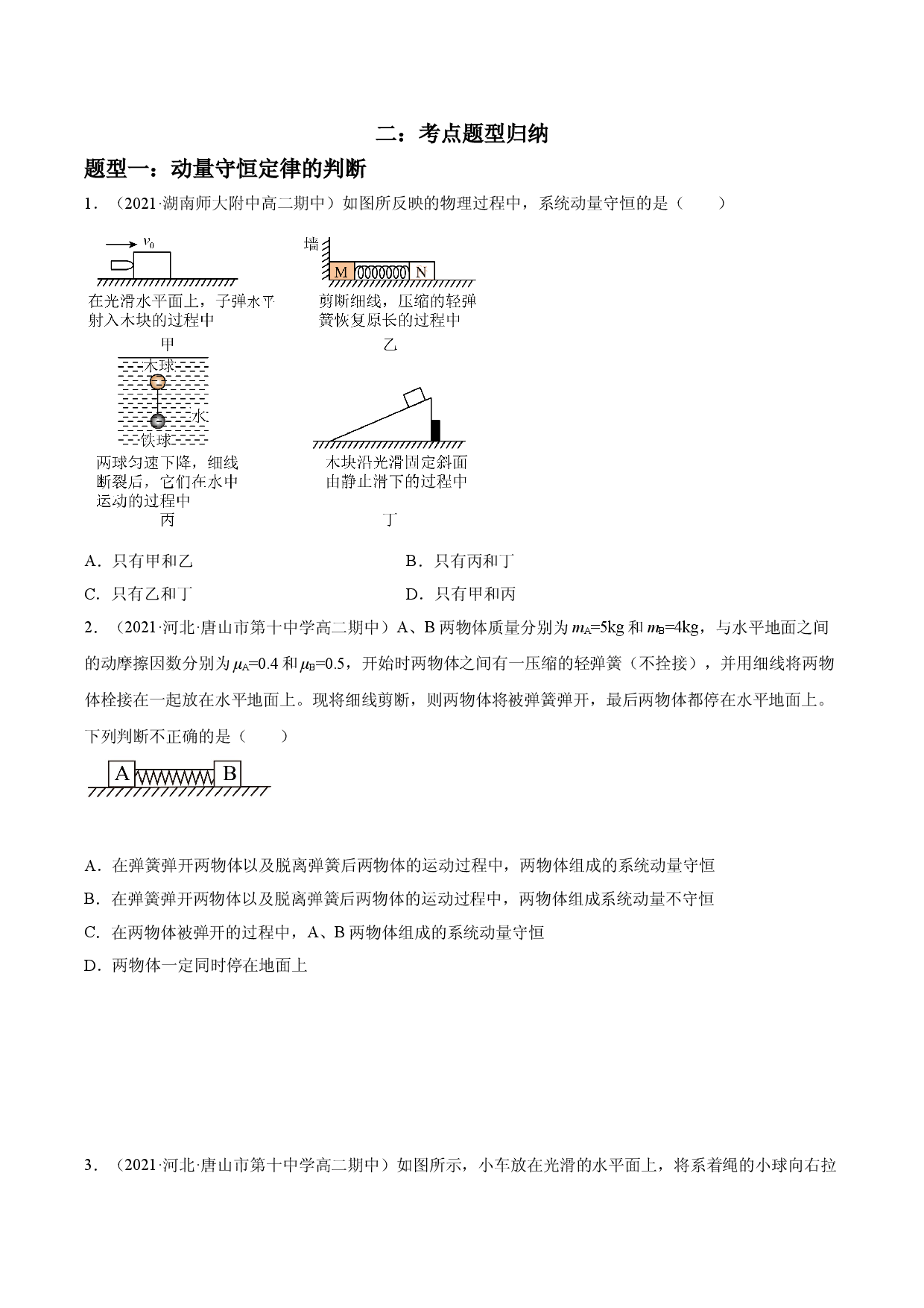 1.3 动量守恒定律-2021-2022学年高二物理精讲与精练高分突破考点专题系列（人教版2019选择性必修第一册）.doc 第2页