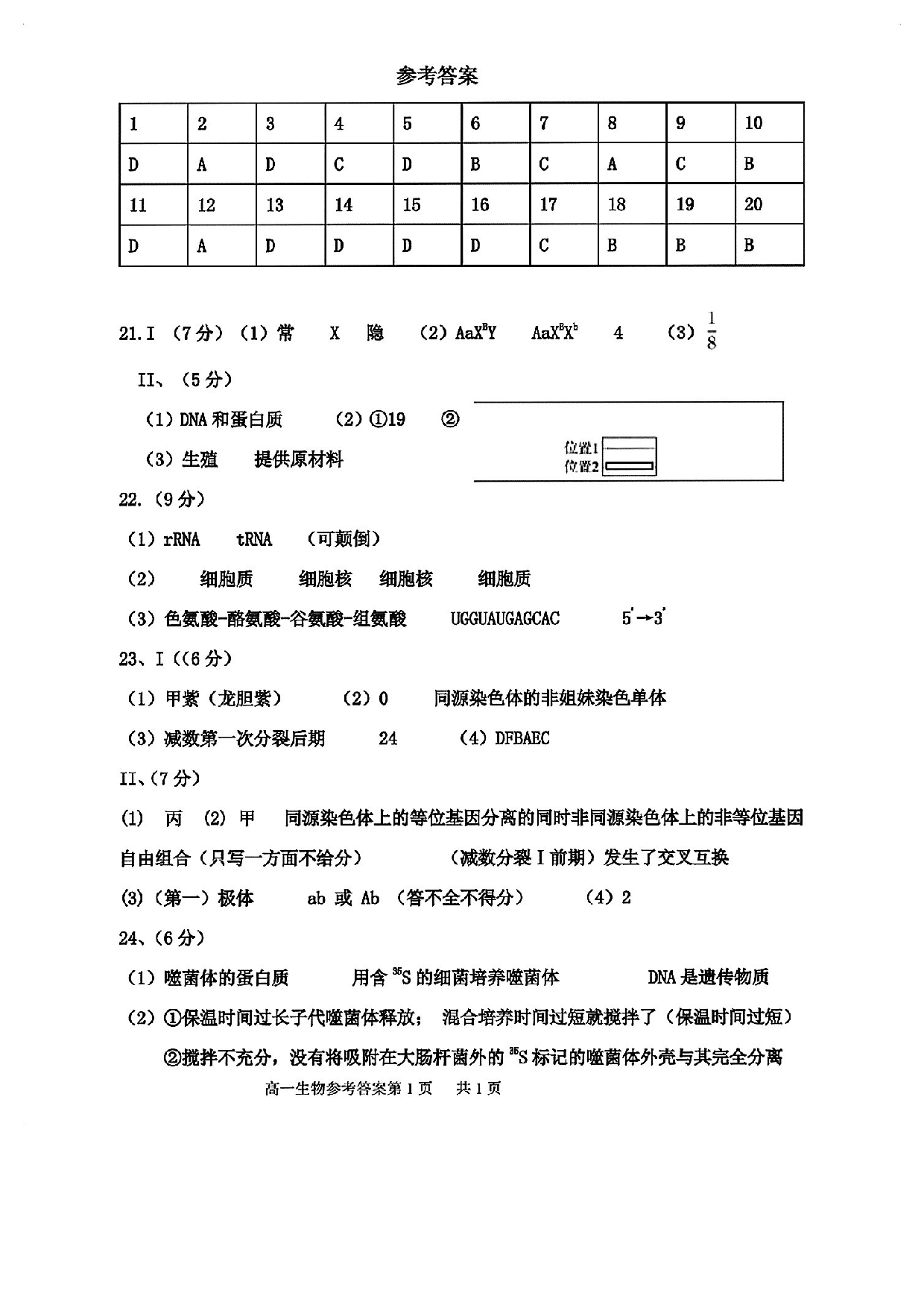 四校联考2022-2023高一下期末生物答案.pdf 第1页