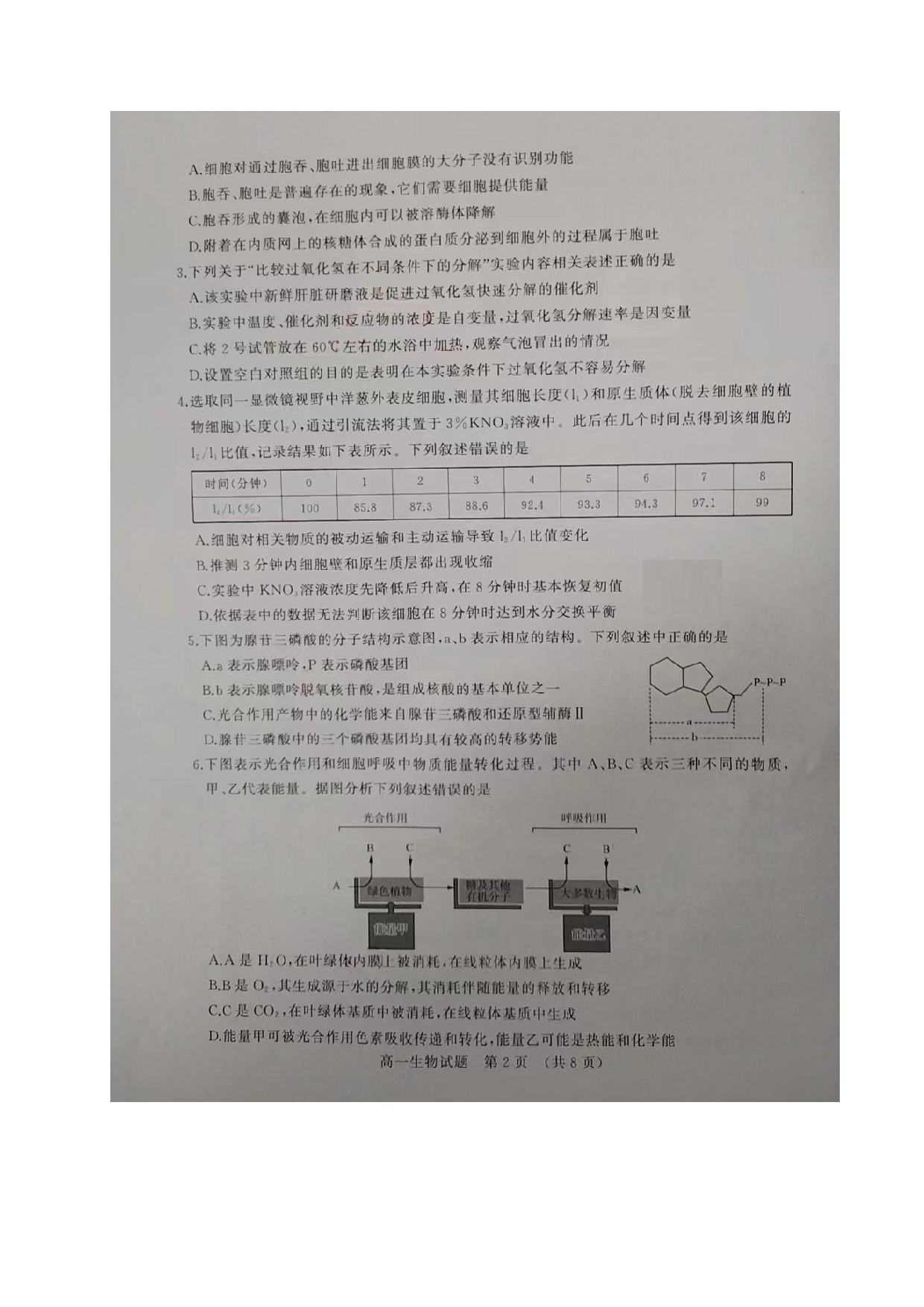 山东省济南市2022-2023学年高一下学期期末考试生物试题.pdf 第2页
