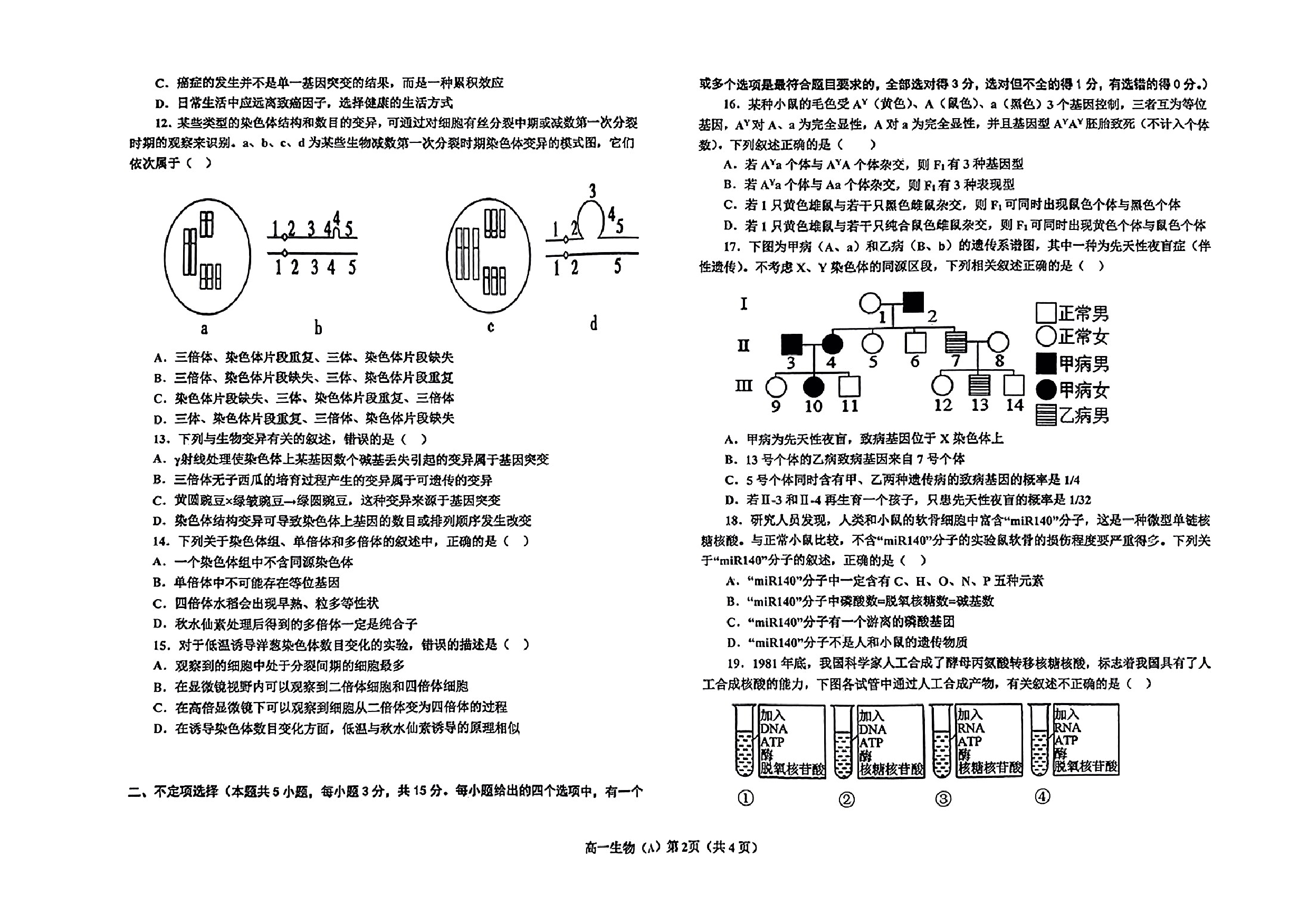 辽宁省鞍山市普通高中2022-2023学年高一下学期第三次月考生物（A卷）试题.pdf 第2页