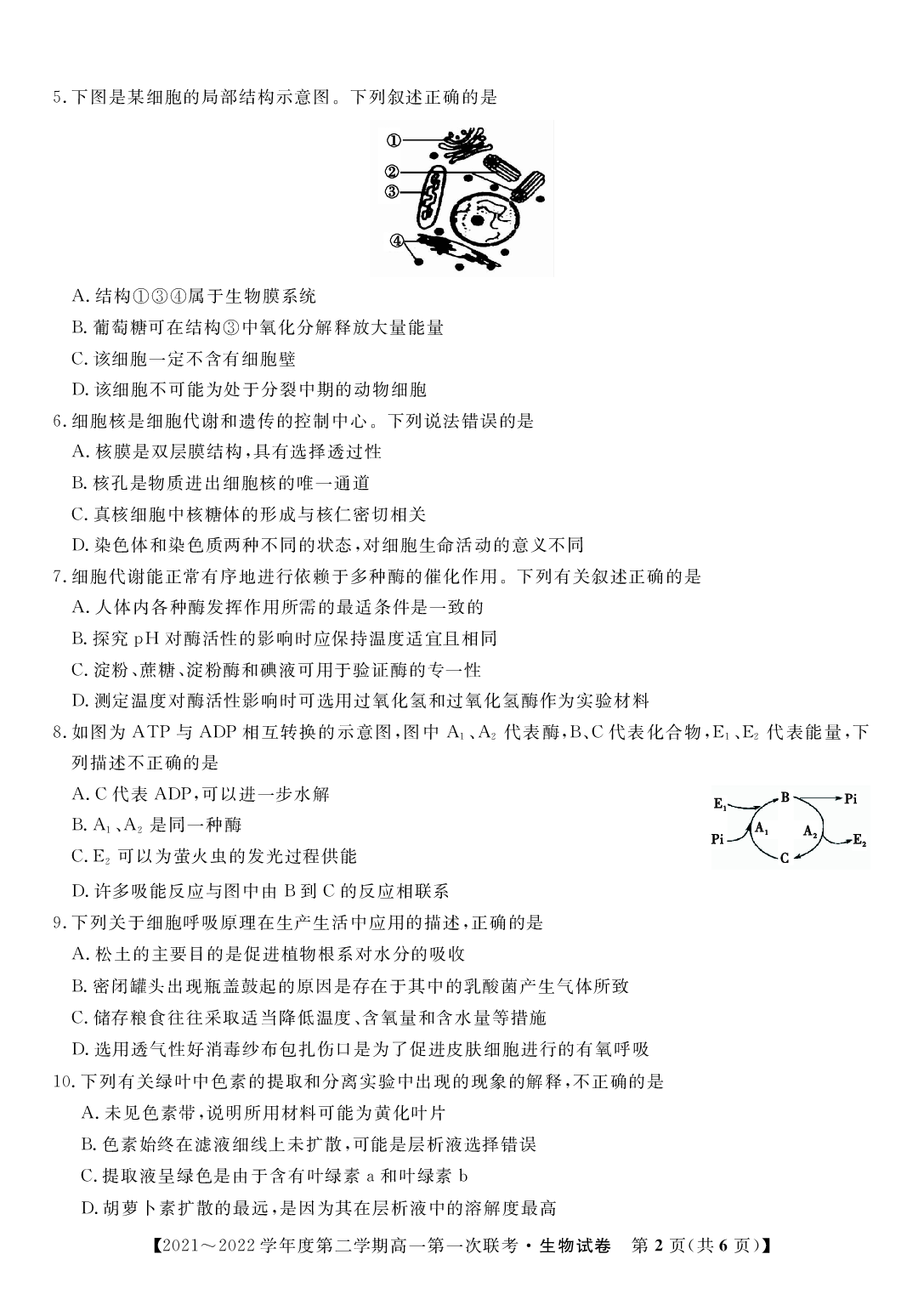 安徽省皖西南联盟2021-2022学年高一下学期第一次月考生物联考试题.pdf 第2页