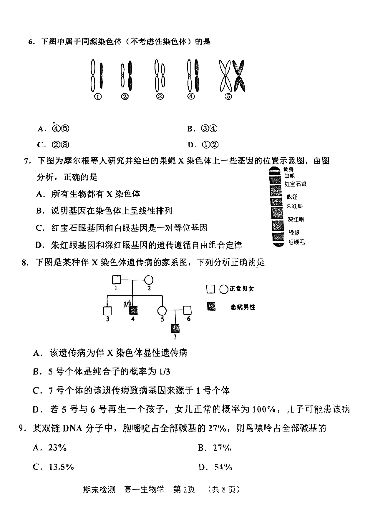 北辰区2022-2023高一下期末生物试卷.pdf 第2页