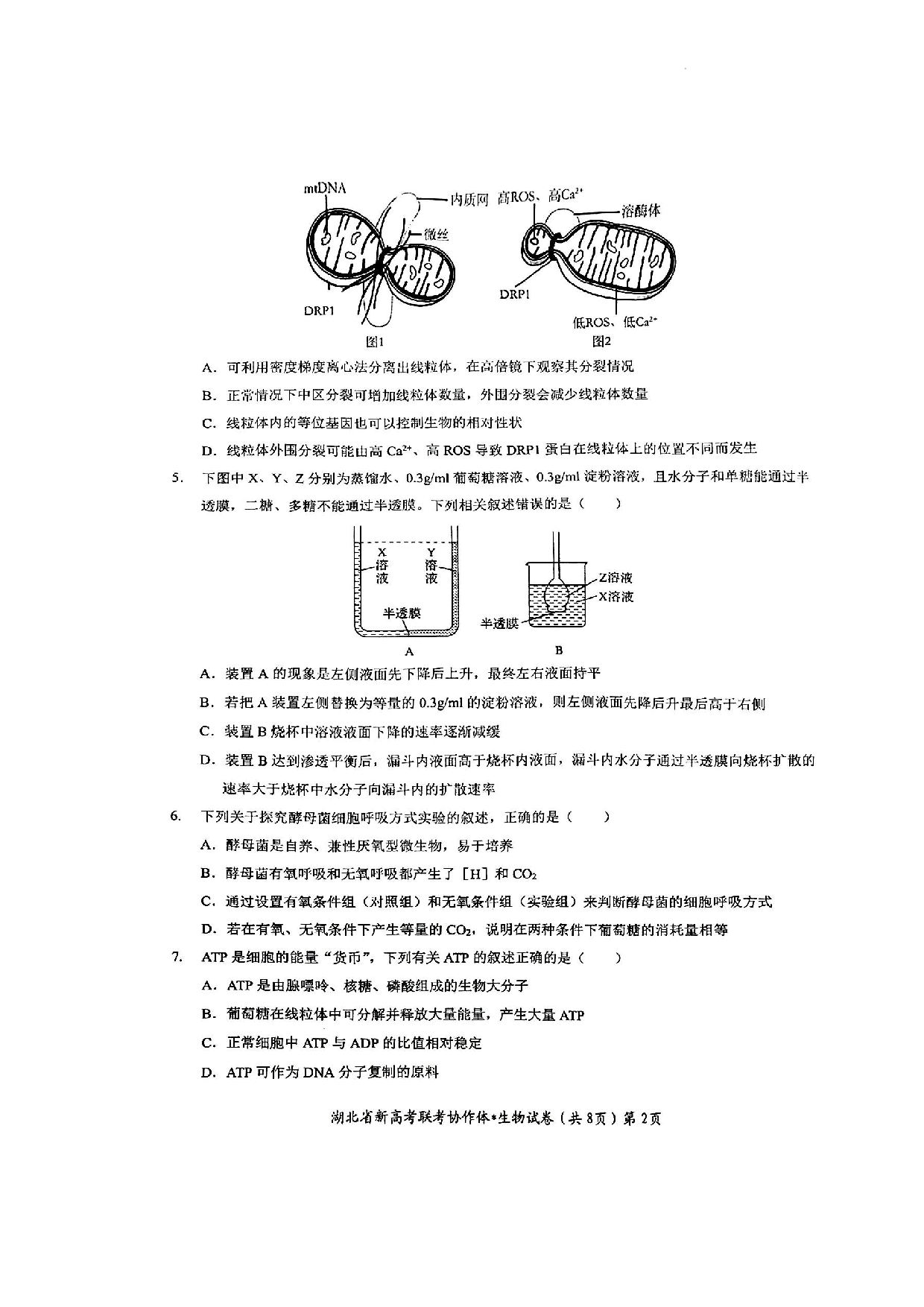 2023年湖北新高考协作体高一5月联考生物试卷（附答案）.docx 第2页
