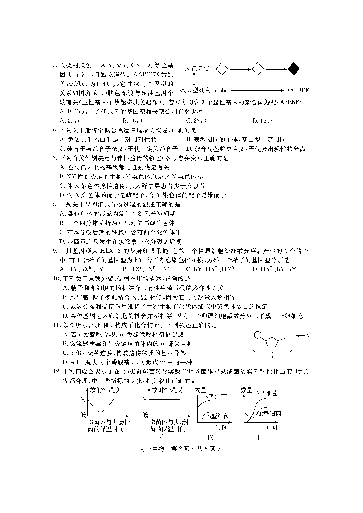 【高一】四川省乐山市2022-2023学年高一下学期期末考试+生物.pdf 第2页