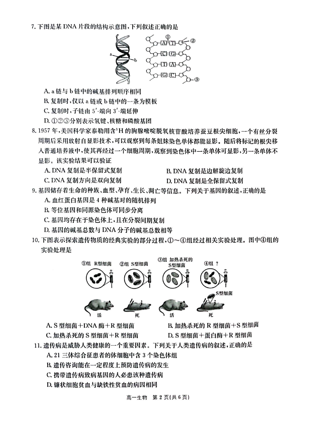 【高一】陕西省商洛市2022-2023学年高一下学期期末教学质量检测+生物.pdf 第2页
