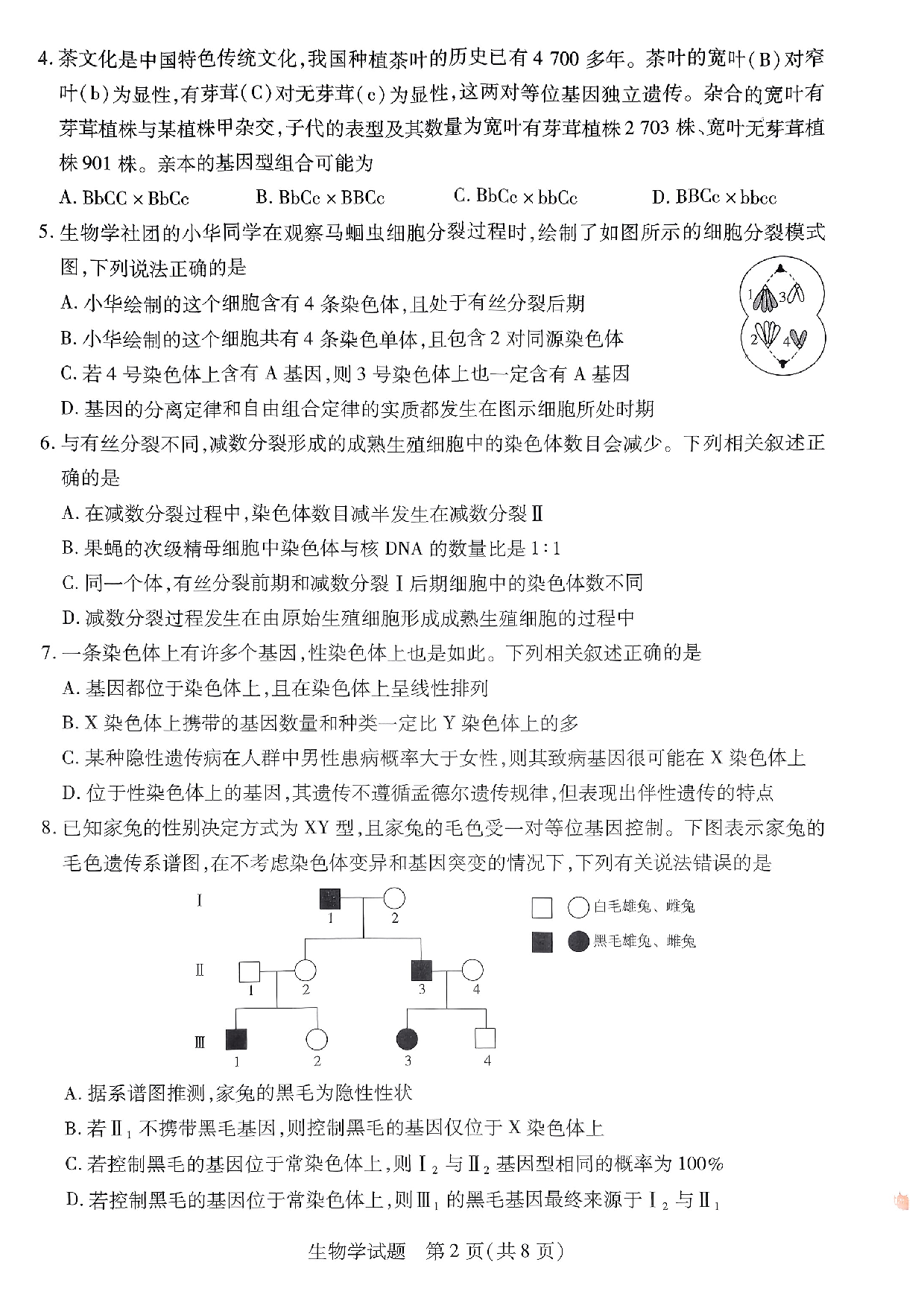 【高一】河北省沧州市2022-2023学年高一下学期期末考试+生物.pdf 第2页