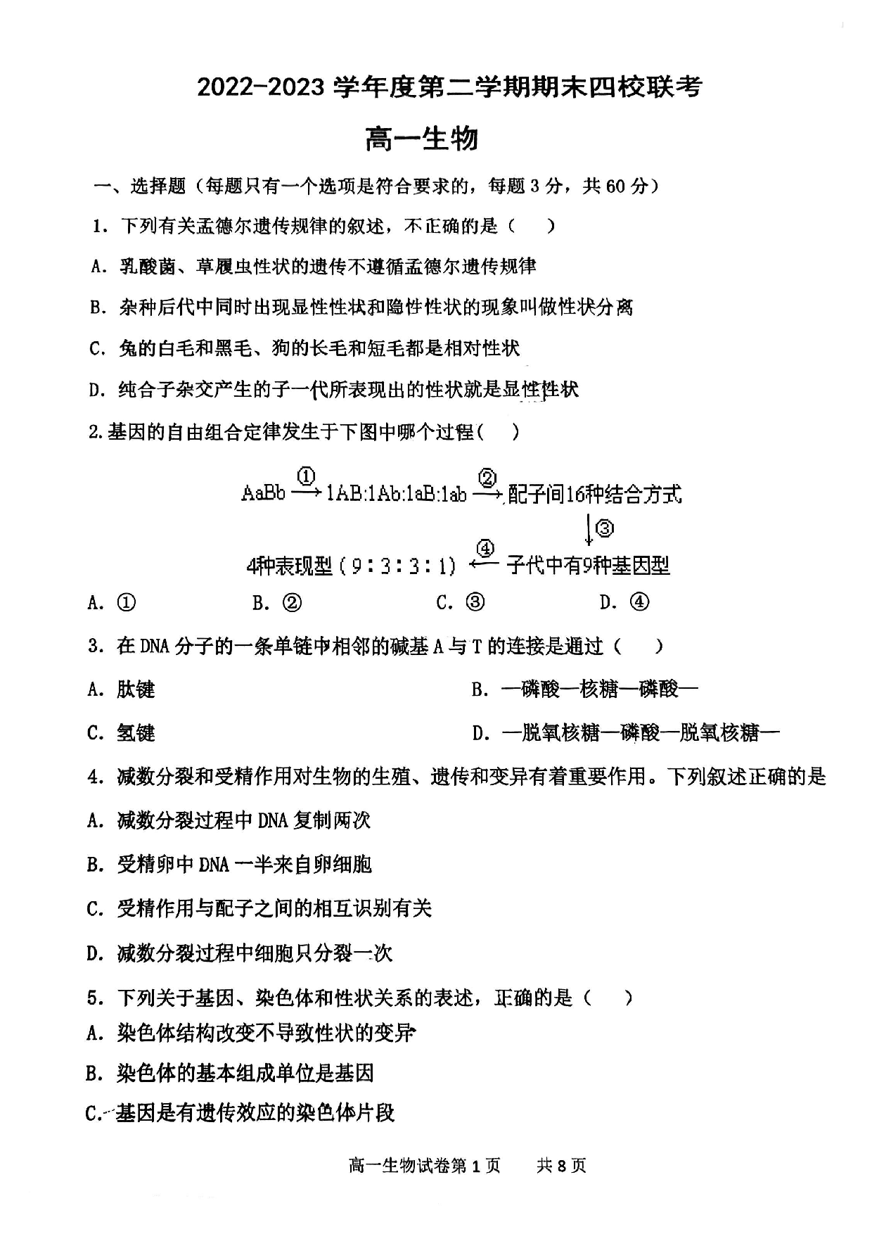 四校联考2022-2023高一下期末生物试卷.pdf 第1页