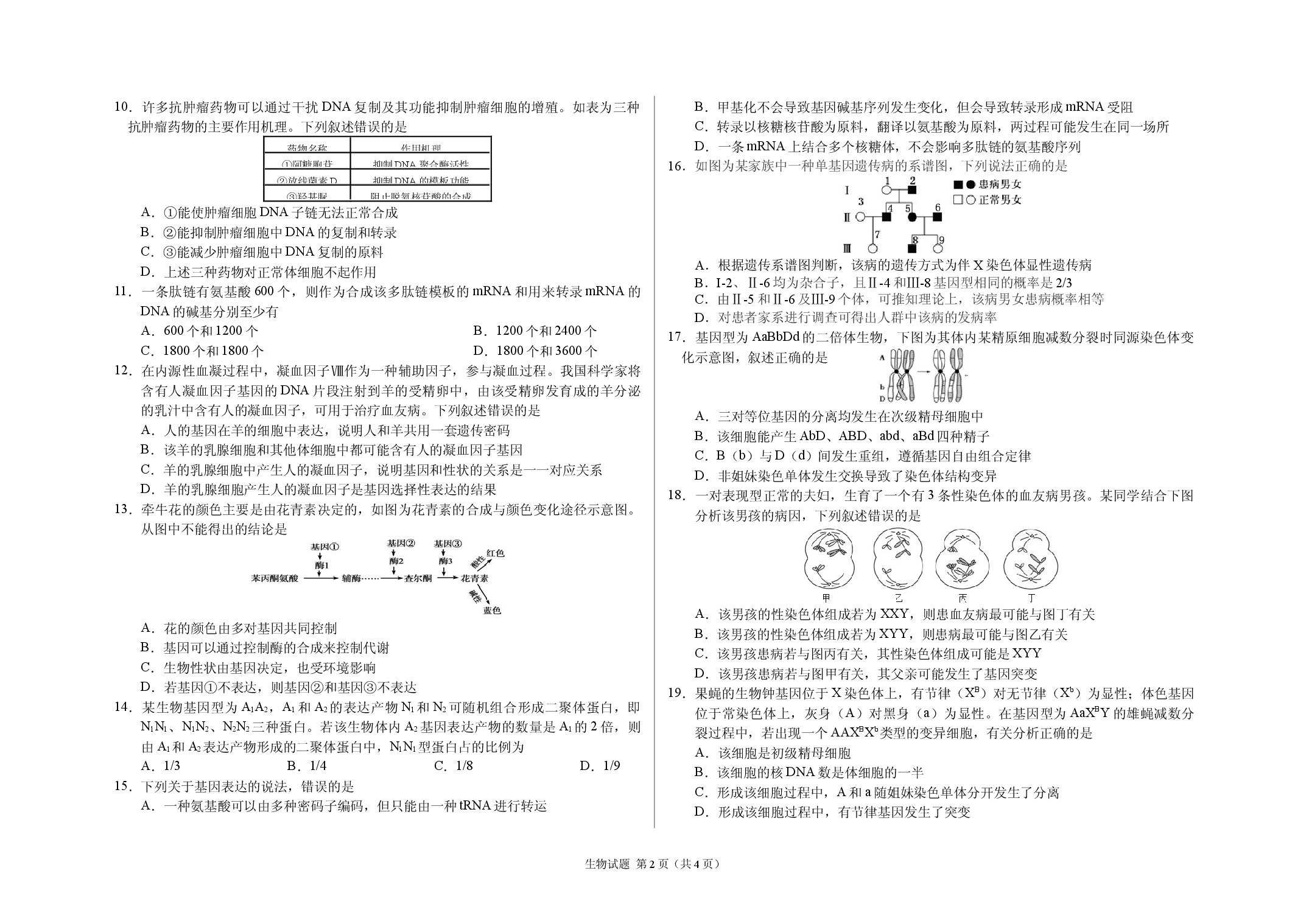 吉林省长春外国语学校2022-2023学年高一下学期第二次月考生物试题.docx 第2页