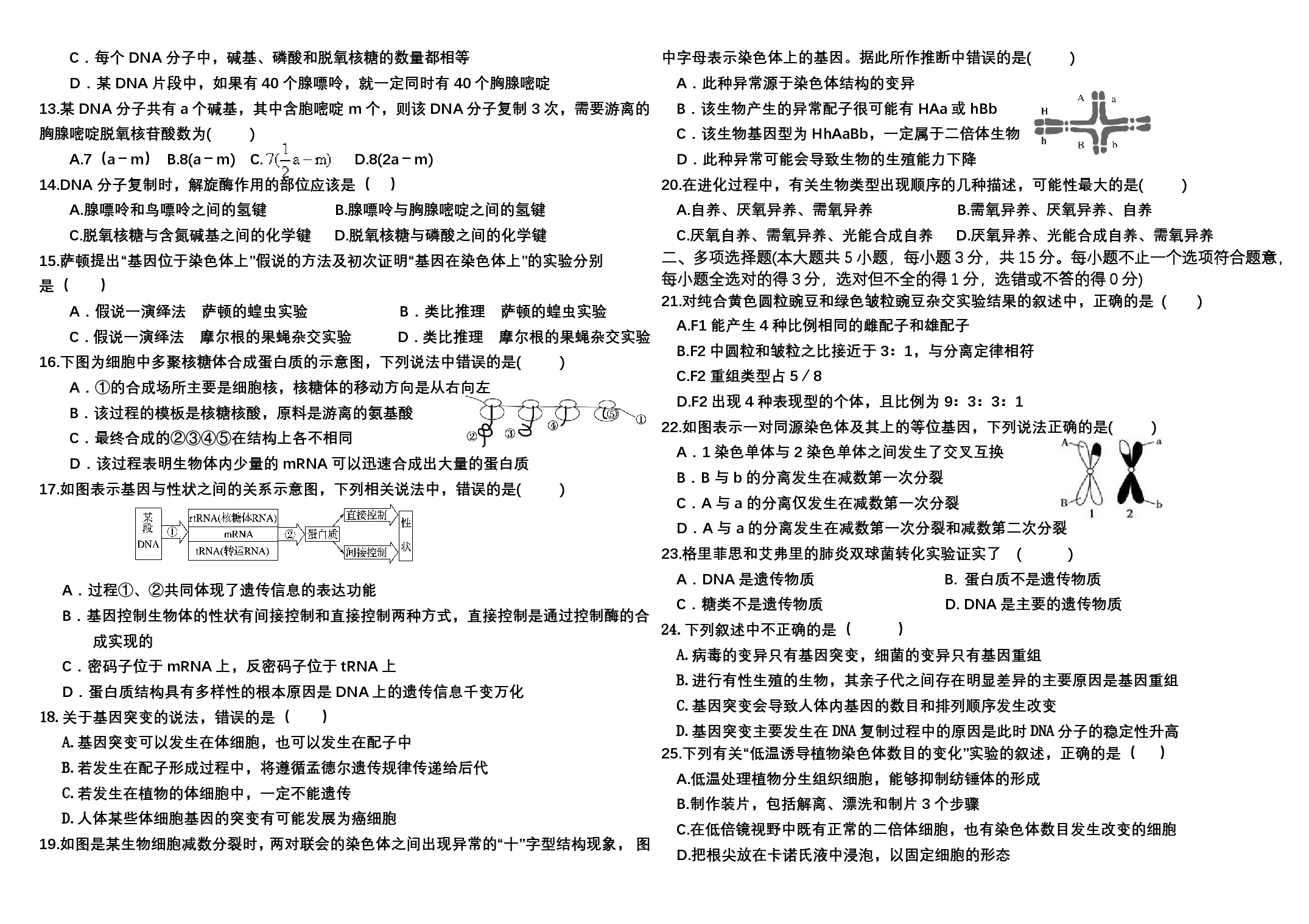 吉林省四平市第三高级中学2022-2023学年高一下学期6月测试生物试卷.pdf 第2页
