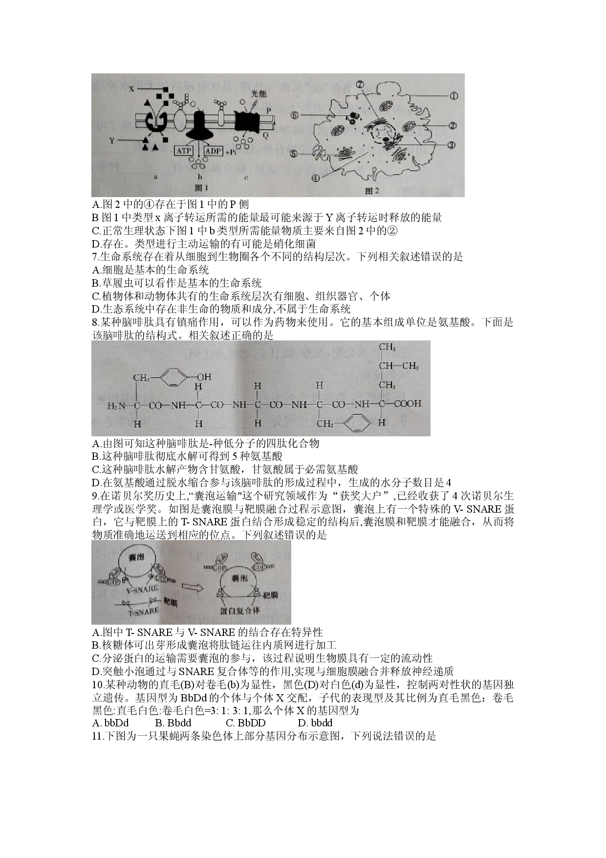 湖南省长郡中学2021-2022学年高二下学期期末考试生物试题.docx 第2页