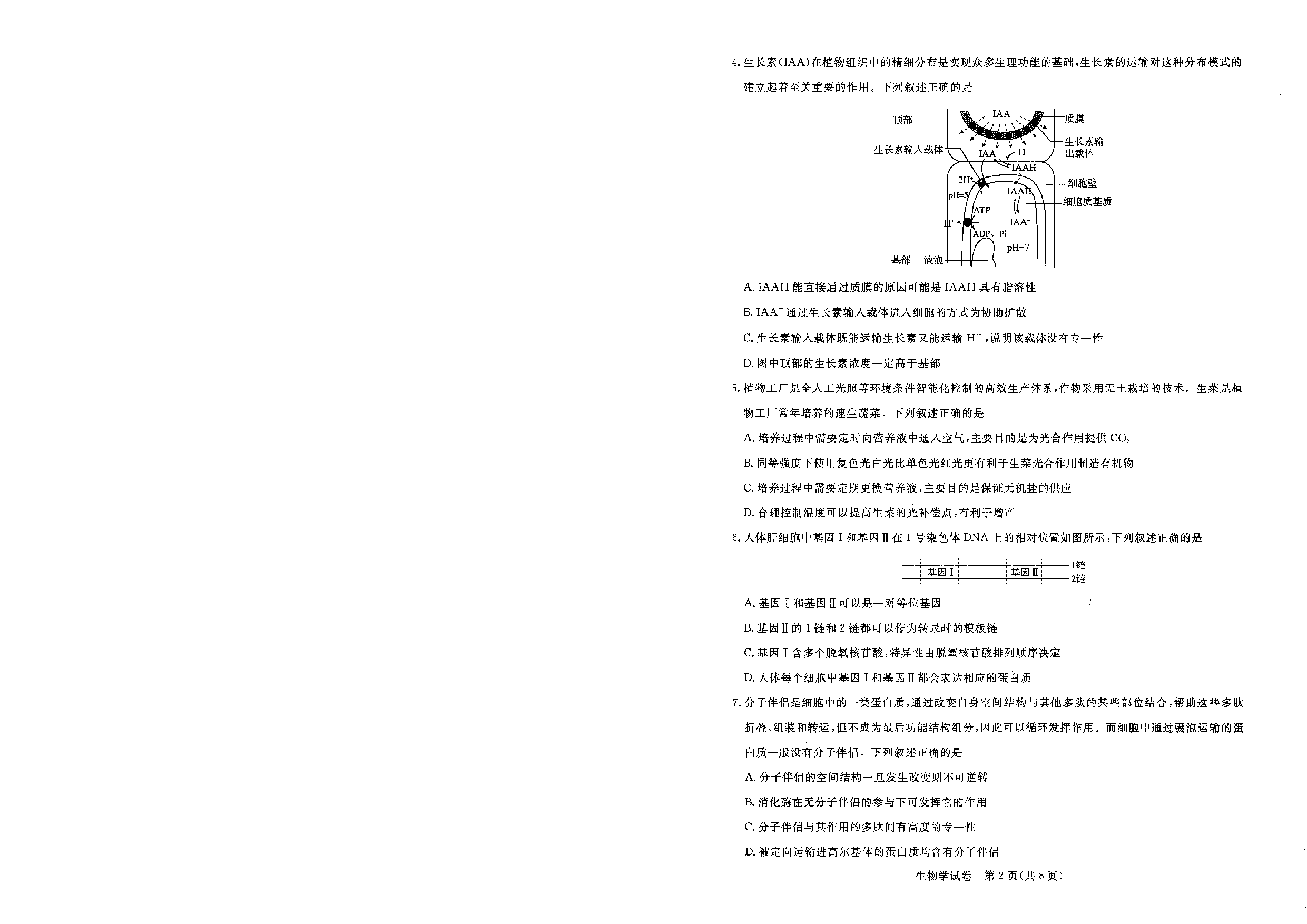 湖北省高中名校联盟2022-2023学年高一下学期5月联合测评生物试题.pdf 第2页