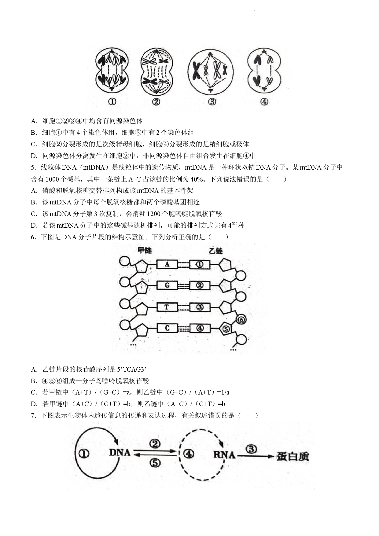 河北省邢台市南宫中学2022-2023学年高一6月月考生物试题.docx 第2页