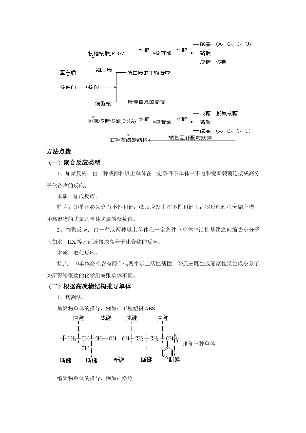 江苏省丹阳高级中学苏教版高二化学选修5专题5.2 氨基酸 蛋白质 核酸（知识梳理）.doc 第2页