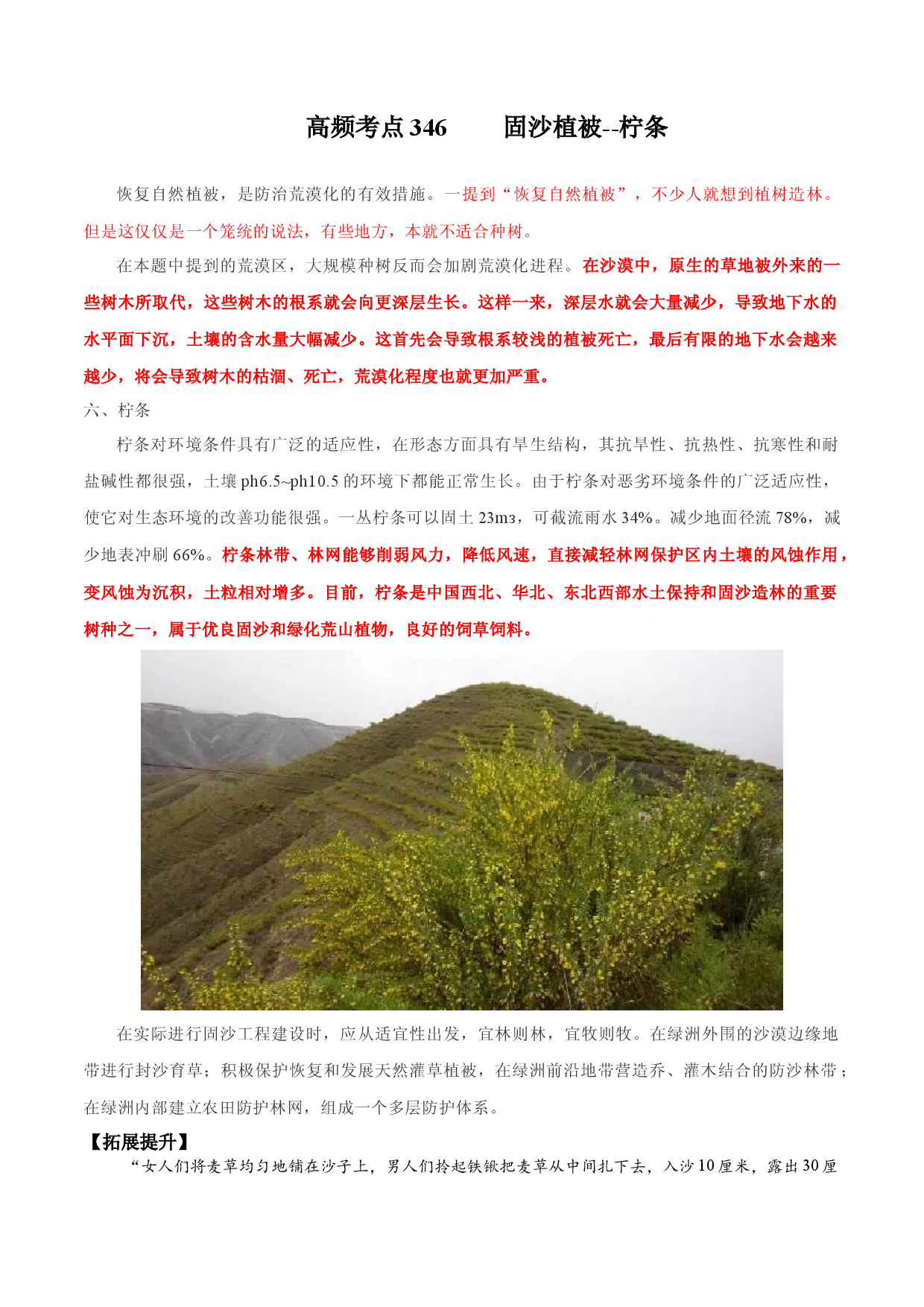 地理热点292 固沙植被--柠条-备战2022年高考地理全二轮复习高频考点狙击与专项突破.docx 第1页