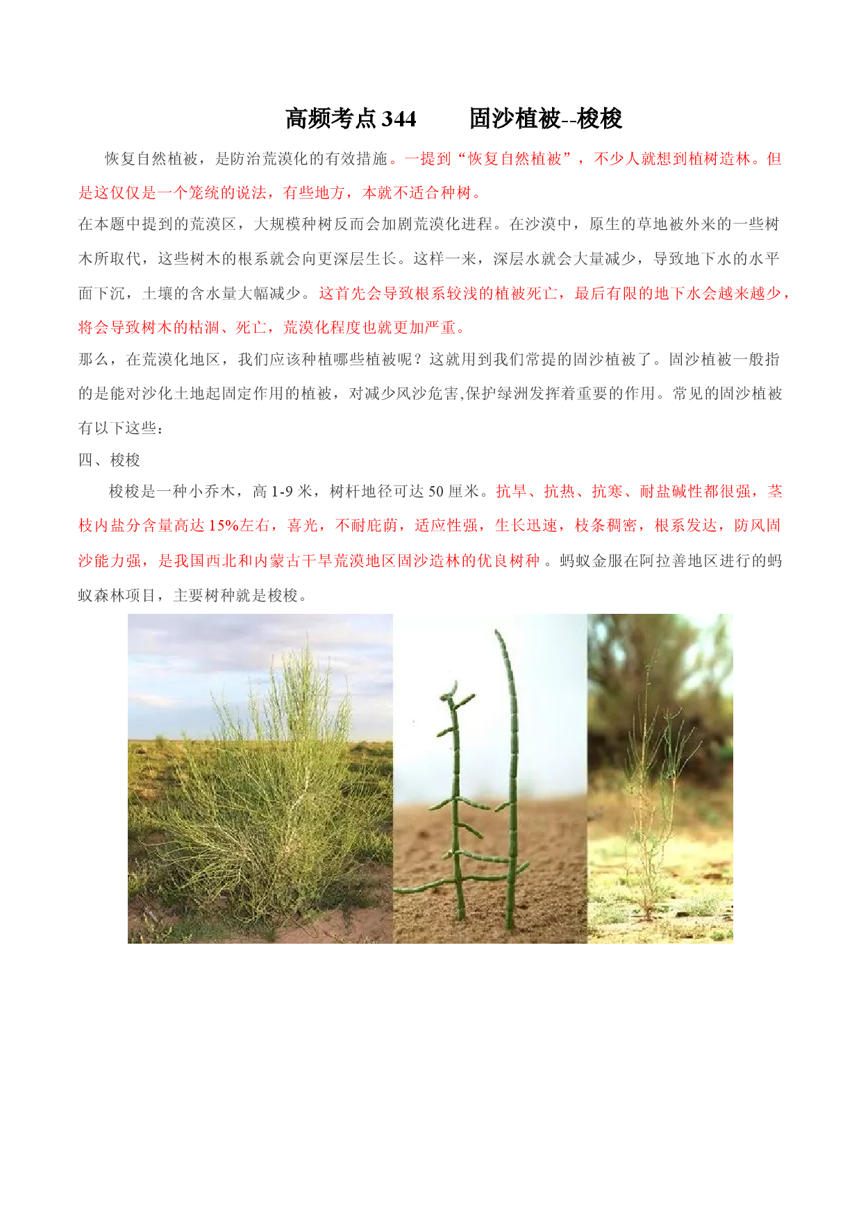 地理热点290 固沙植被--梭梭-备战2022年高考地理全二轮复习高频考点狙击与专项突破.docx 第1页
