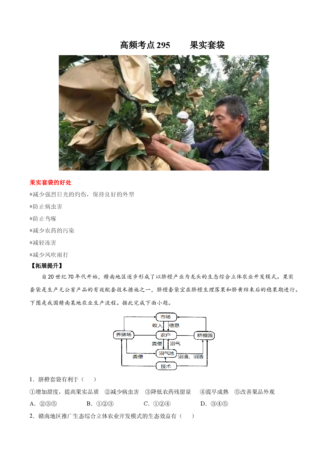 地理热点241 果实套袋-备战2022年高考地理全二轮复习高频考点狙击与专项突破.docx 第1页
