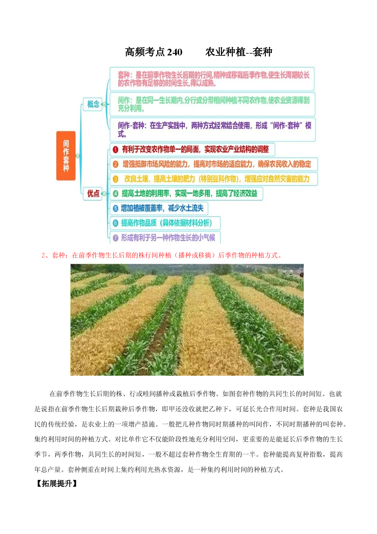 地理热点186 农业种植&mdash;套种-备战2022年高考地理全二轮复习高频考点狙击与专项突破.docx 第1页