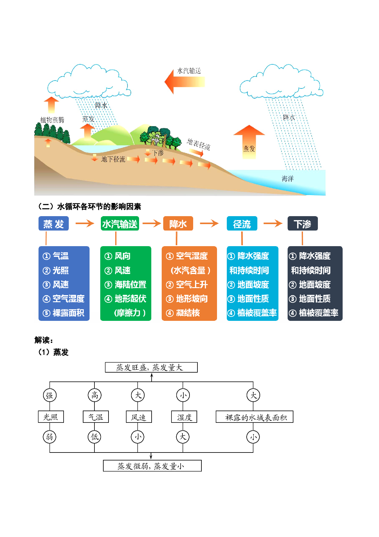 3.1 水循环及水量平衡（讲义）-2022年高考地理一轮复习讲练测.docx 第2页
