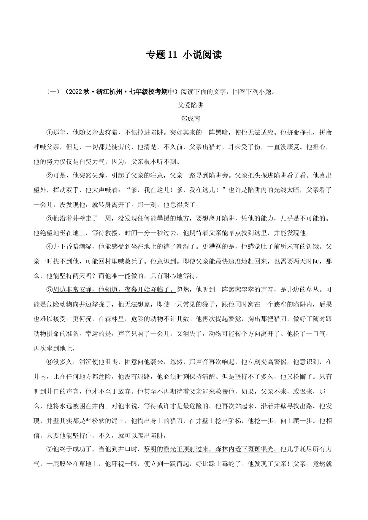 专题11 小说阅读-2023-2024学年七年级语文上学期期中专题复习（浙江专用） .docx 第1页