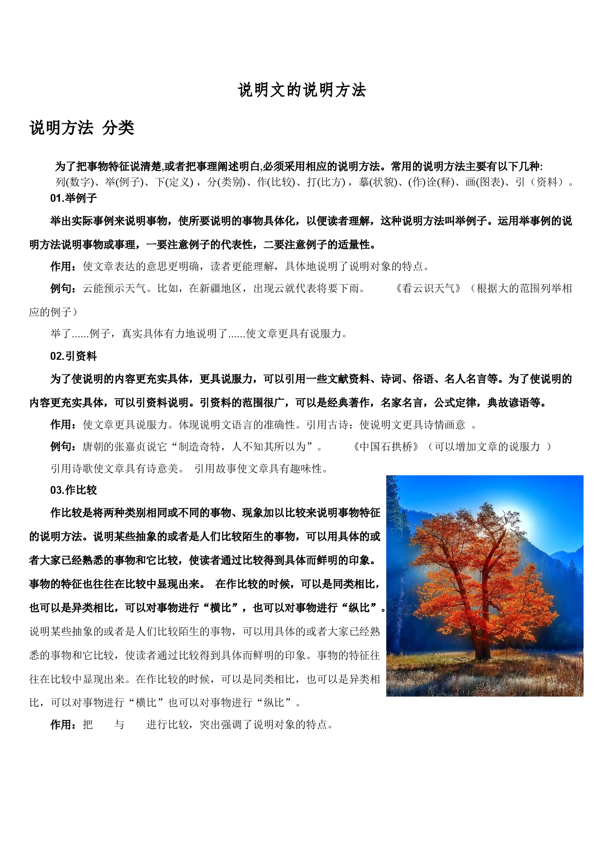 中考语文一轮专题复习：说明文说明方法.docx 第1页