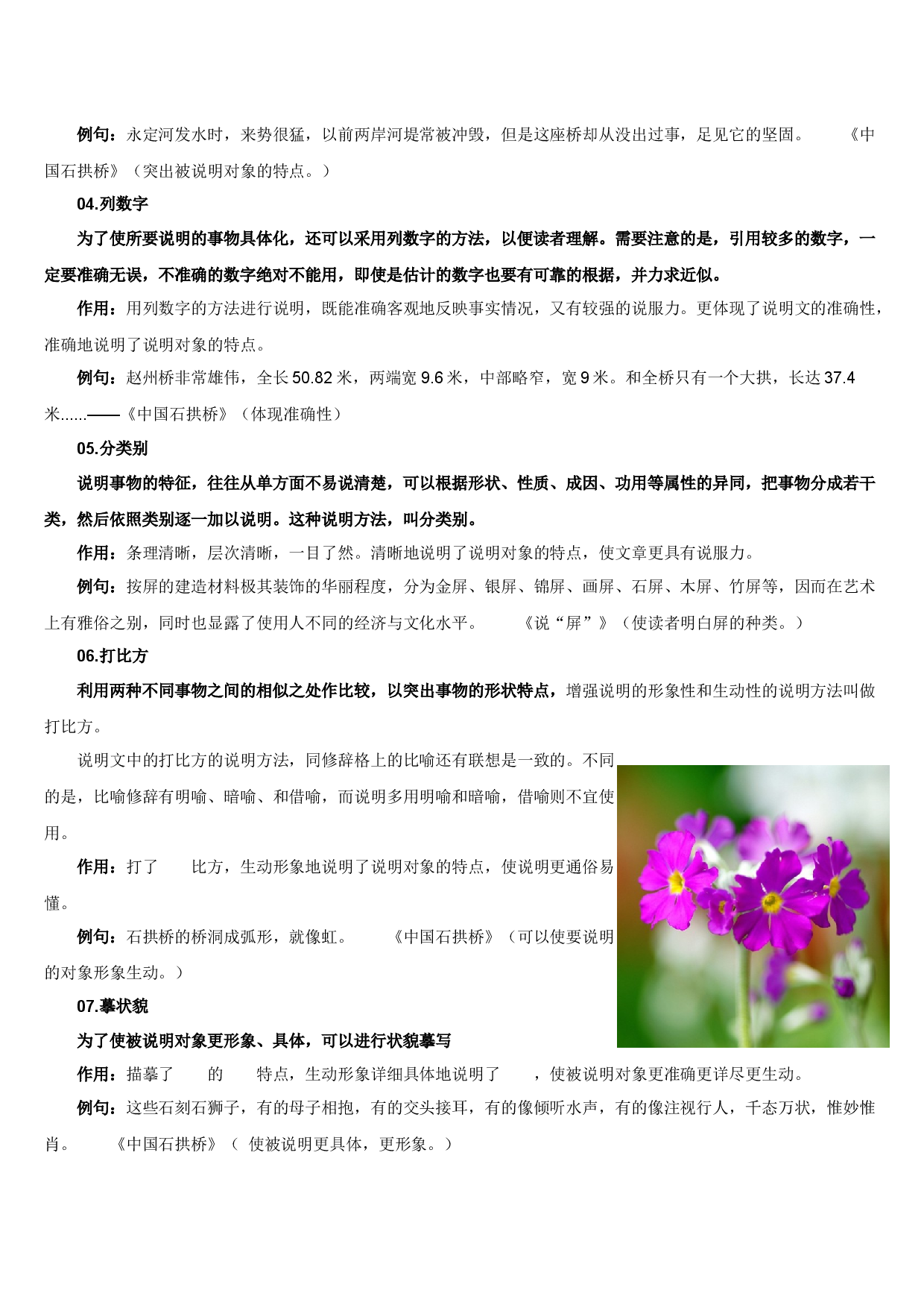 中考语文一轮专题复习：说明文说明方法.docx 第2页