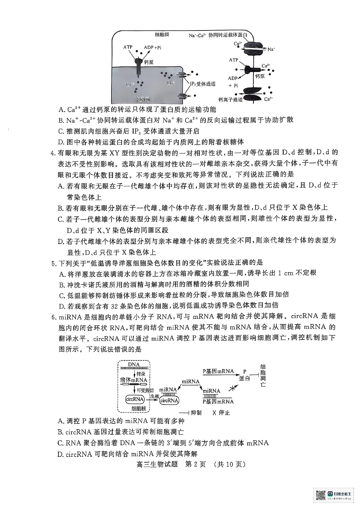 山东省济南市2024-2025学年高三上学期期末考试生物试题.pdf 第2页