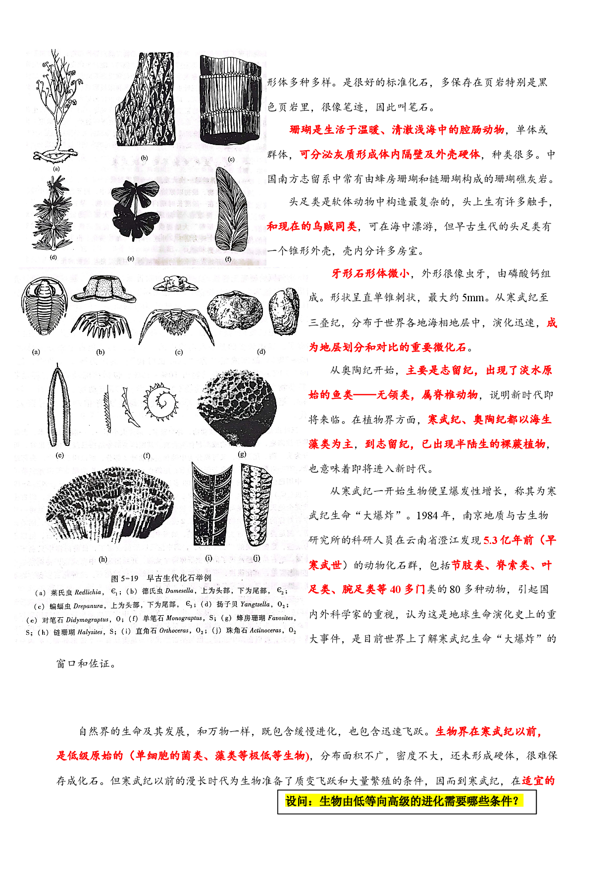 18 早、晚古生代的地质变迁和生物演化～结合相关高考真题-【超前培优】备战2023年高考地理之探讨大学地理知识.docx 第2页
