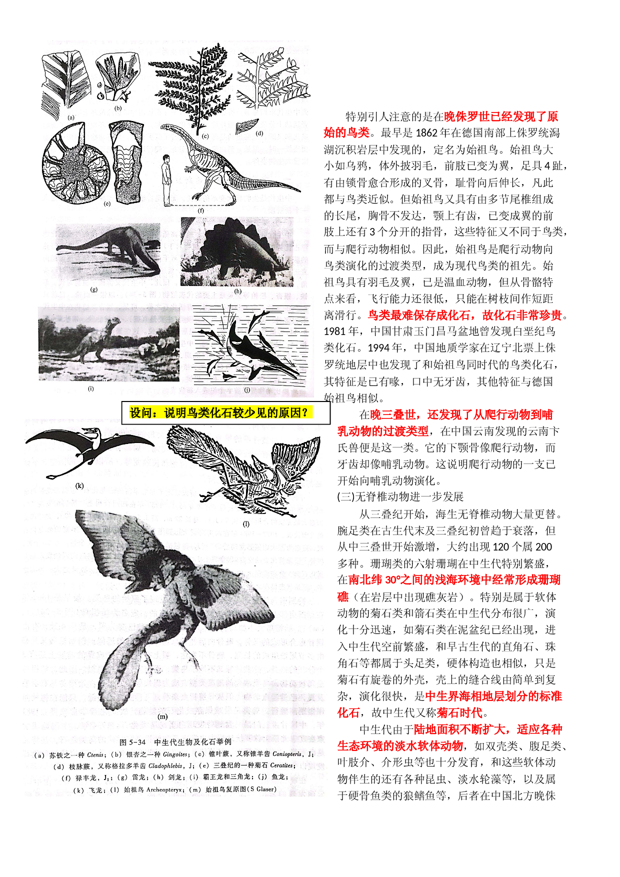 19 中生代的生物演化和大地构造～结合相关高考真题-【超前培优】备战2023年高考地理之探讨大学地理知识.docx 第2页