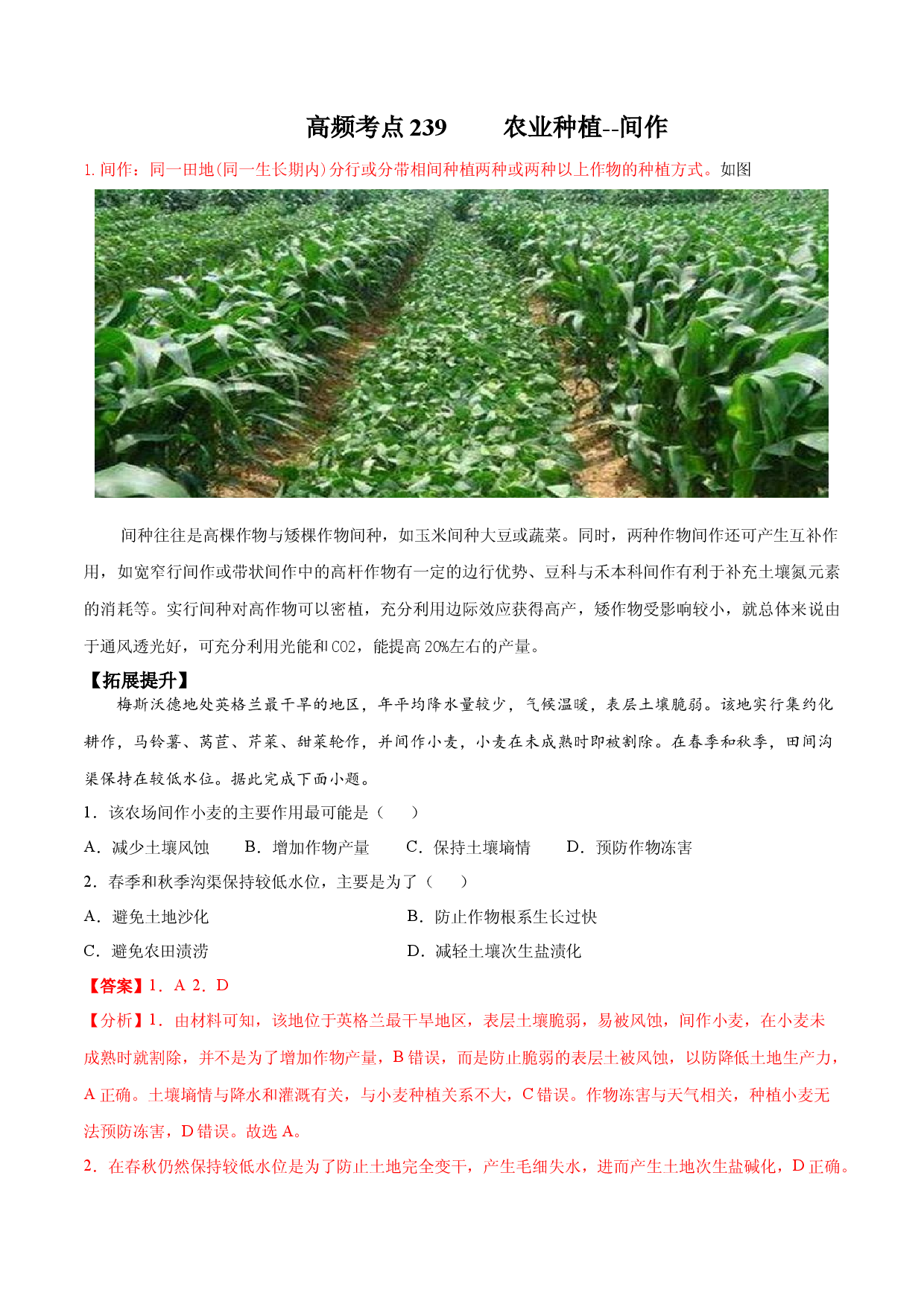 地理热点185 农业种植&mdash;间作-备战2022年高考地理全二轮复习高频考点狙击与专项突破.docx 第1页