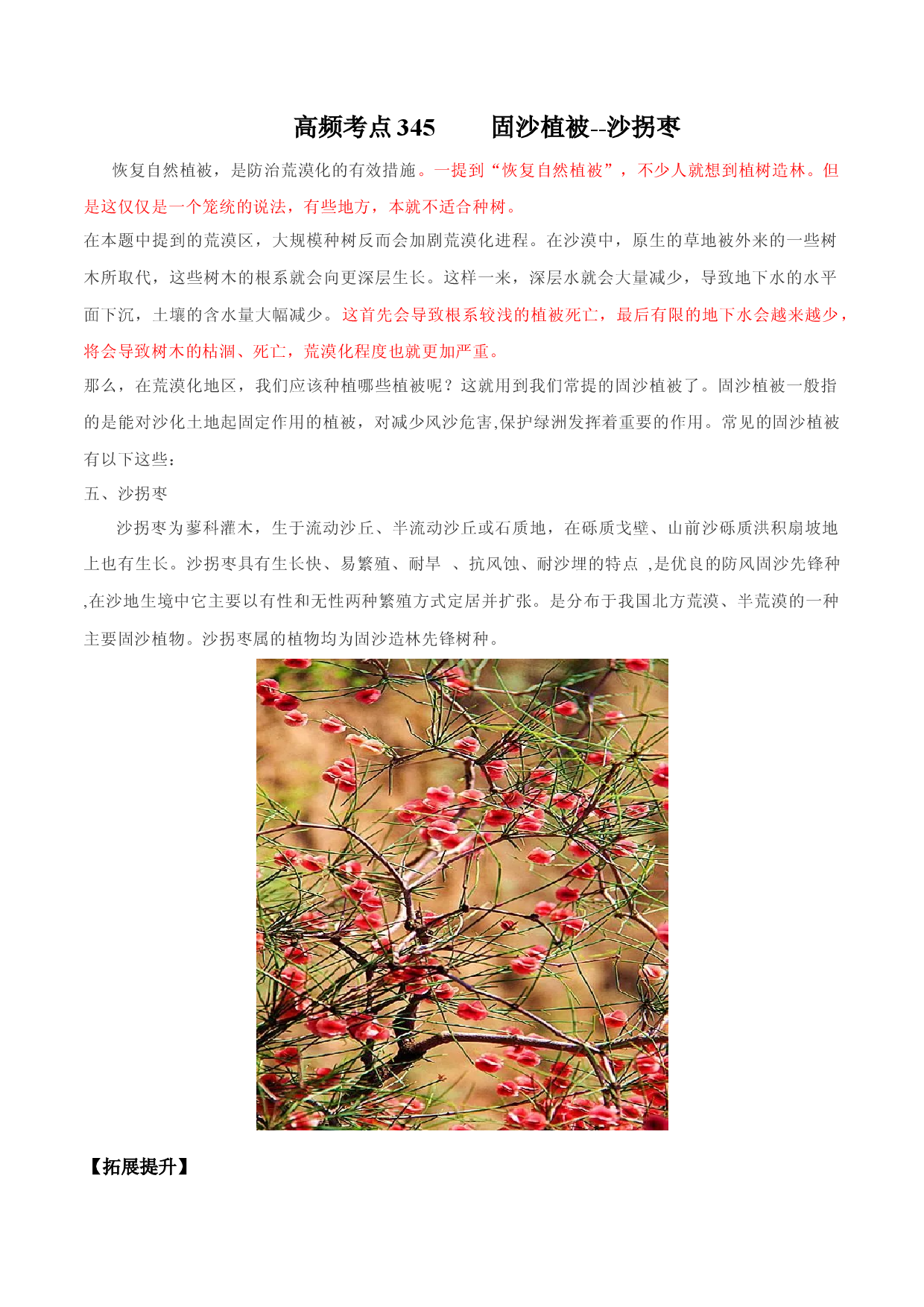 地理热点291 固沙植被--沙拐枣-备战2022年高考地理全二轮复习高频考点狙击与专项突破.docx 第1页
