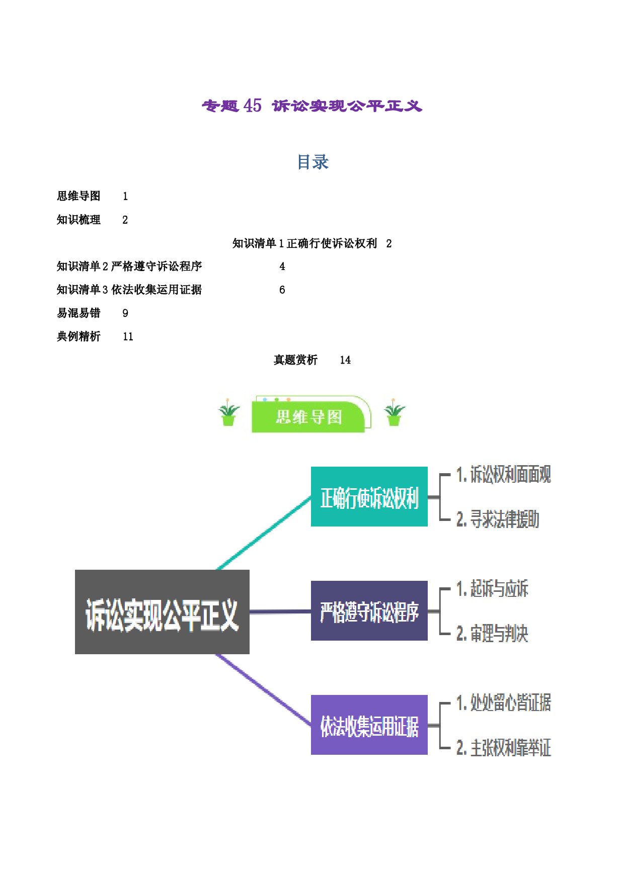 专题45 诉讼实现公平正义（知识清单）-2024年高考政治一轮复习知识清单（新高考通用）.docx 第1页