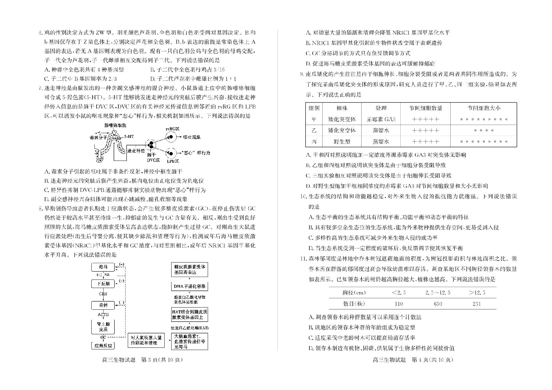 山东省枣庄市2025届高三模拟考试（枣庄二调）生物试题（含答案）.pdf 第2页