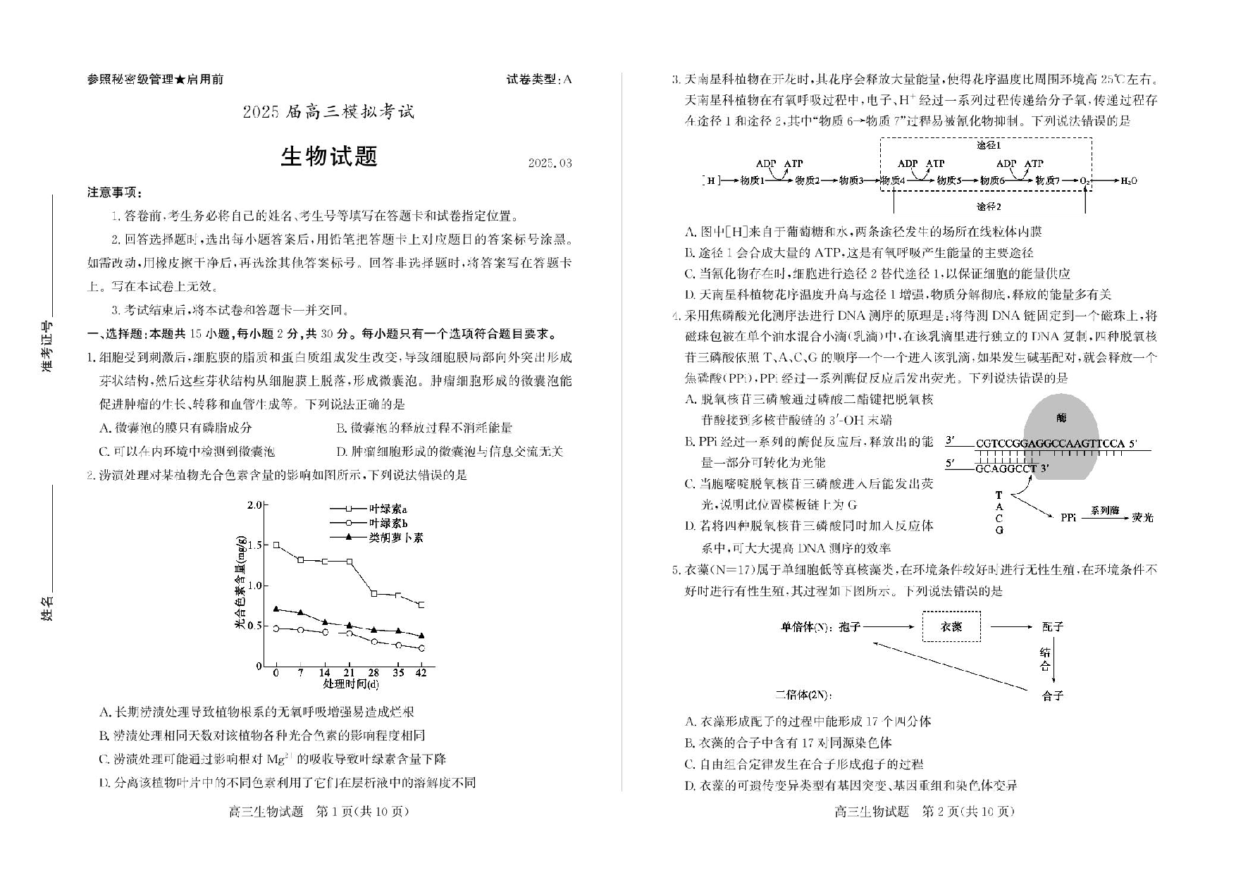 山东省枣庄市2025届高三模拟考试（枣庄二调）生物试题（含答案）.pdf 第1页