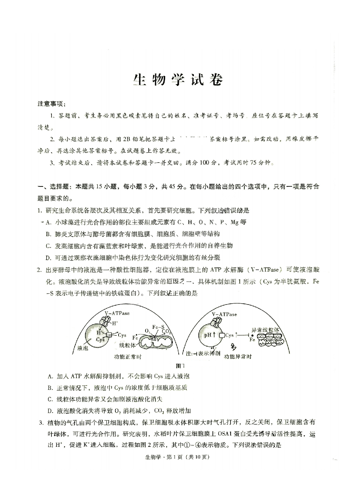重庆市巴蜀中学2025届3月适应性月考(六）生物试题.pdf 第1页
