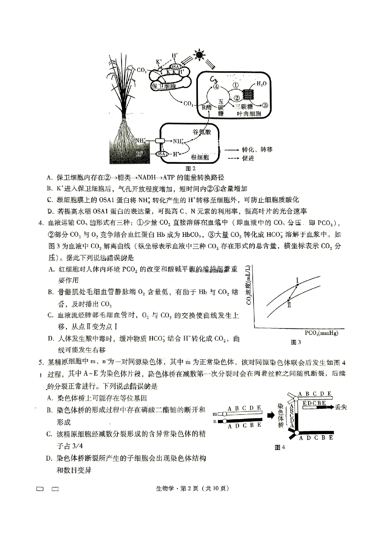 重庆市巴蜀中学2025届3月适应性月考(六）生物试题.pdf 第2页
