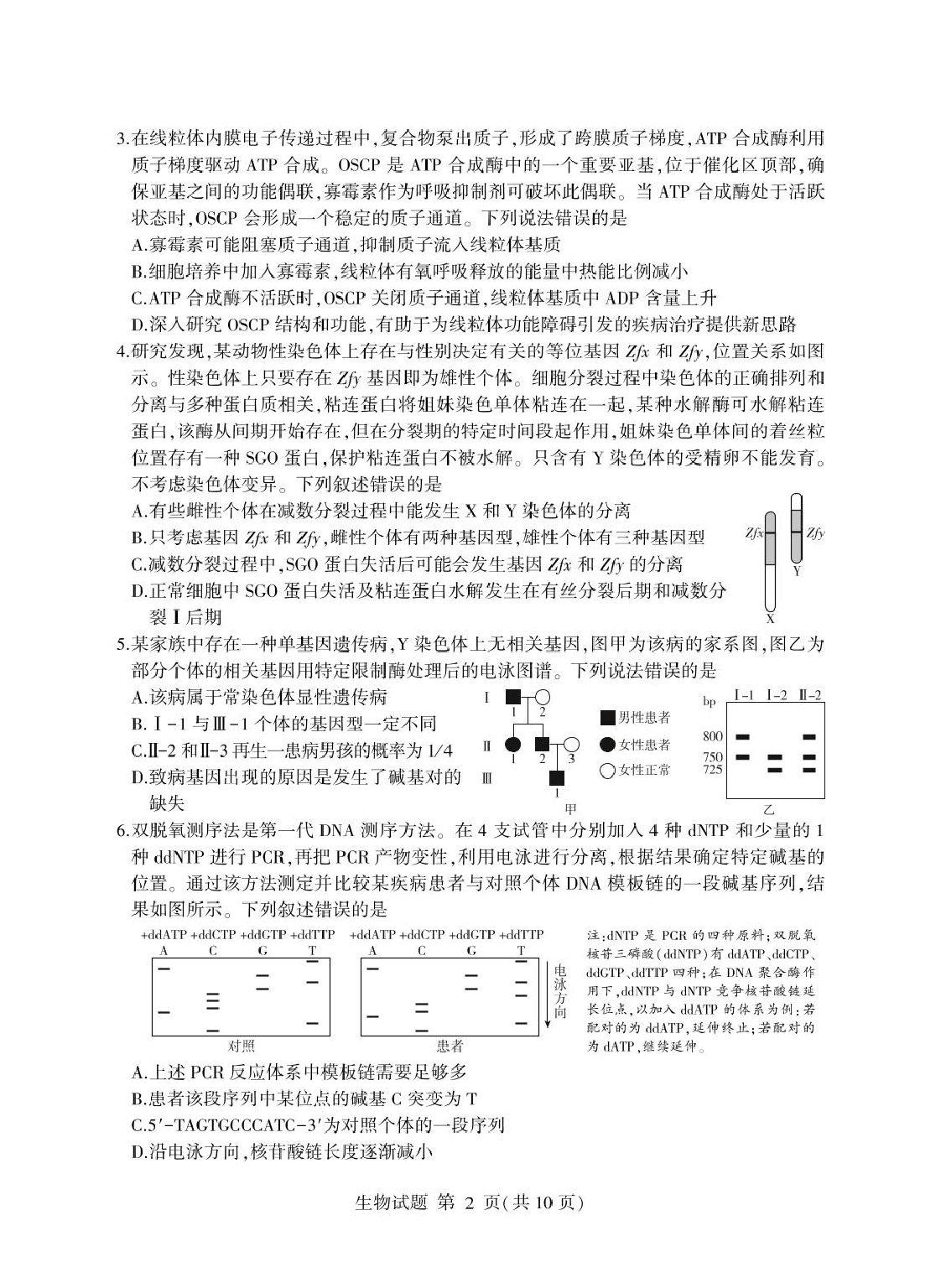 山东省临沂市2025年普通高等学校招生全国统一考试（模拟）（临沂一模）生物学试题（含答案）.pdf 第2页