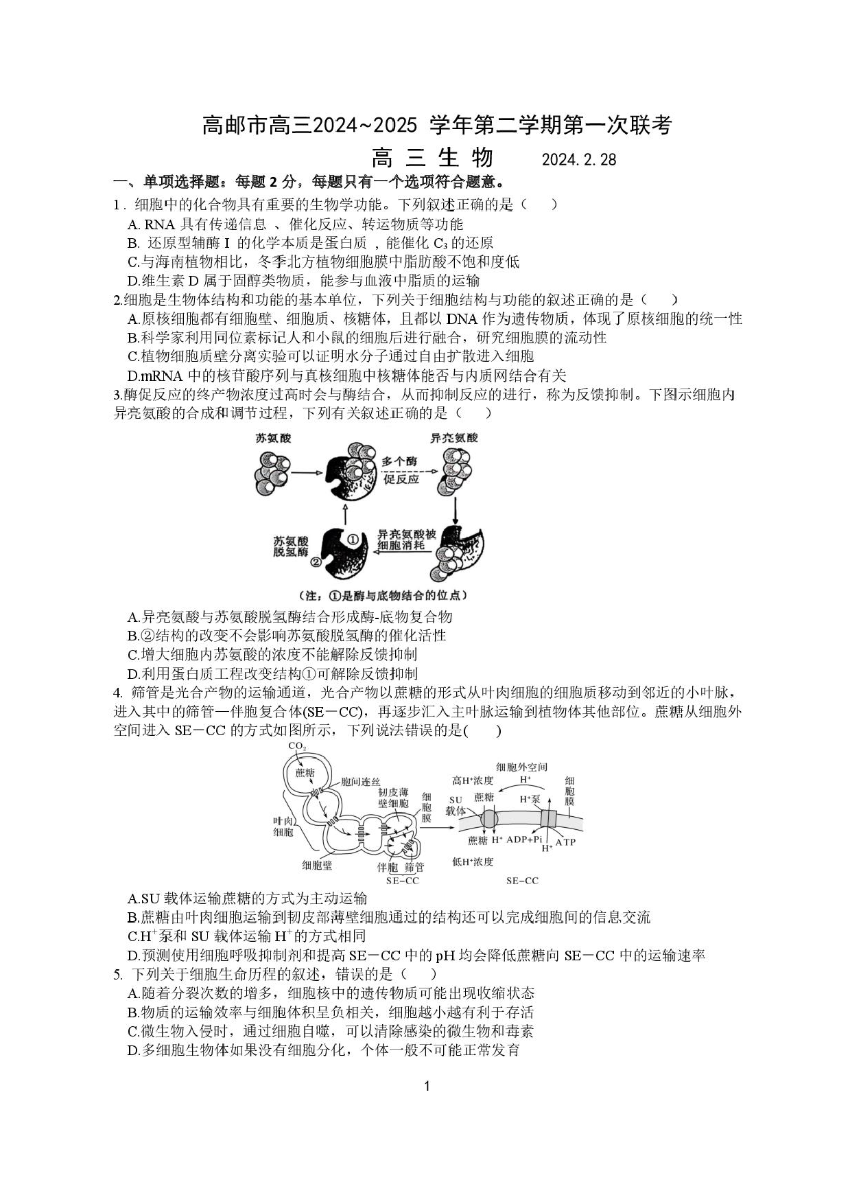 江苏省高邮市2024-2025学年高三下学期第一次联考生物试题+答案.pdf 第1页