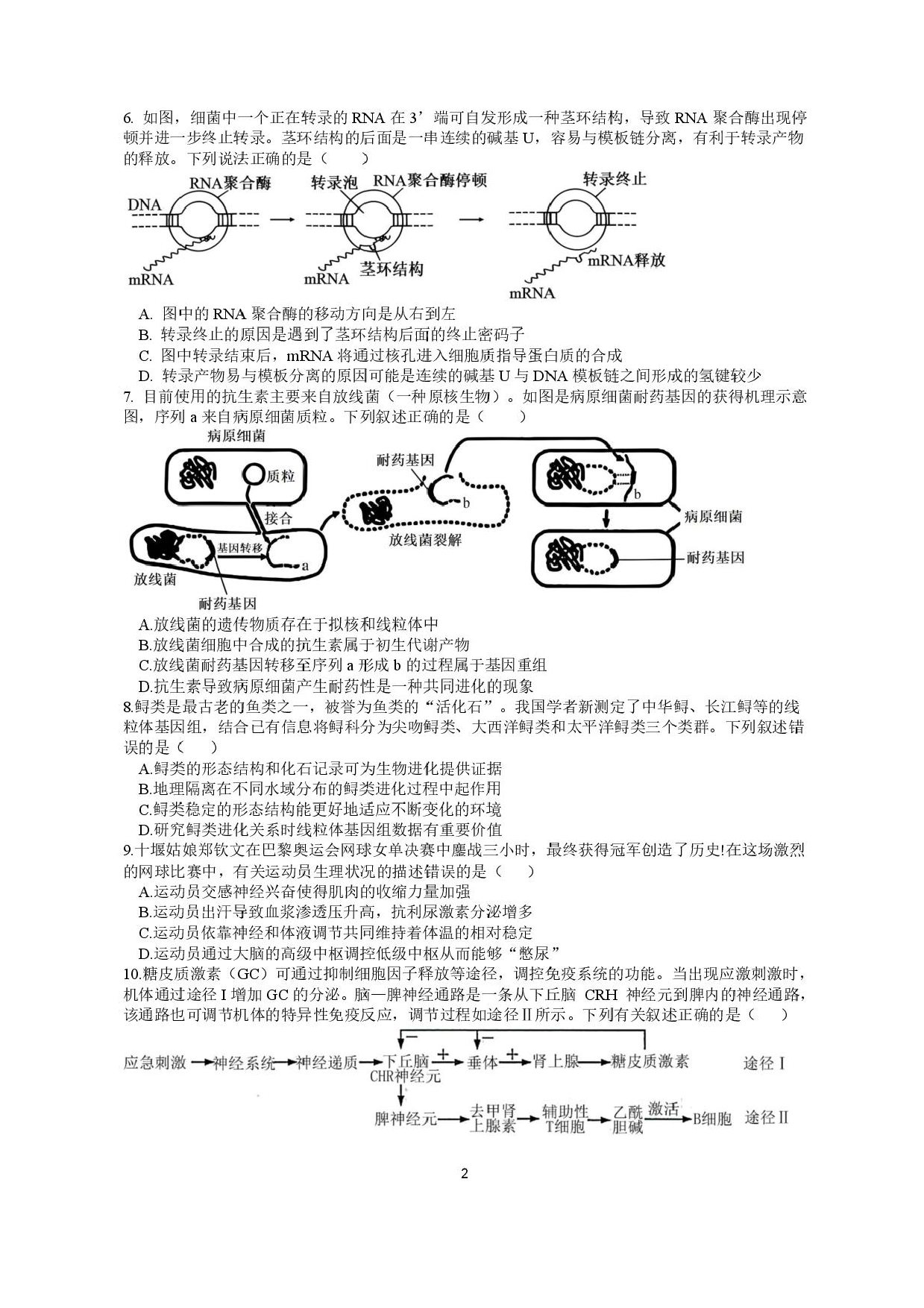 江苏省高邮市2024-2025学年高三下学期第一次联考生物试题+答案.pdf 第2页