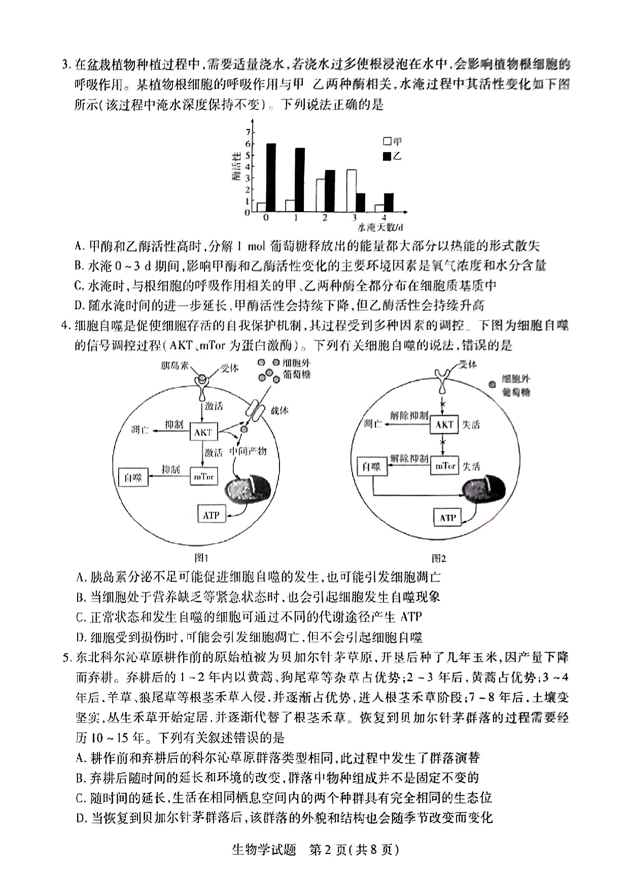 天一大联考2025年高三适应性测试生物试题及答案.pdf 第2页