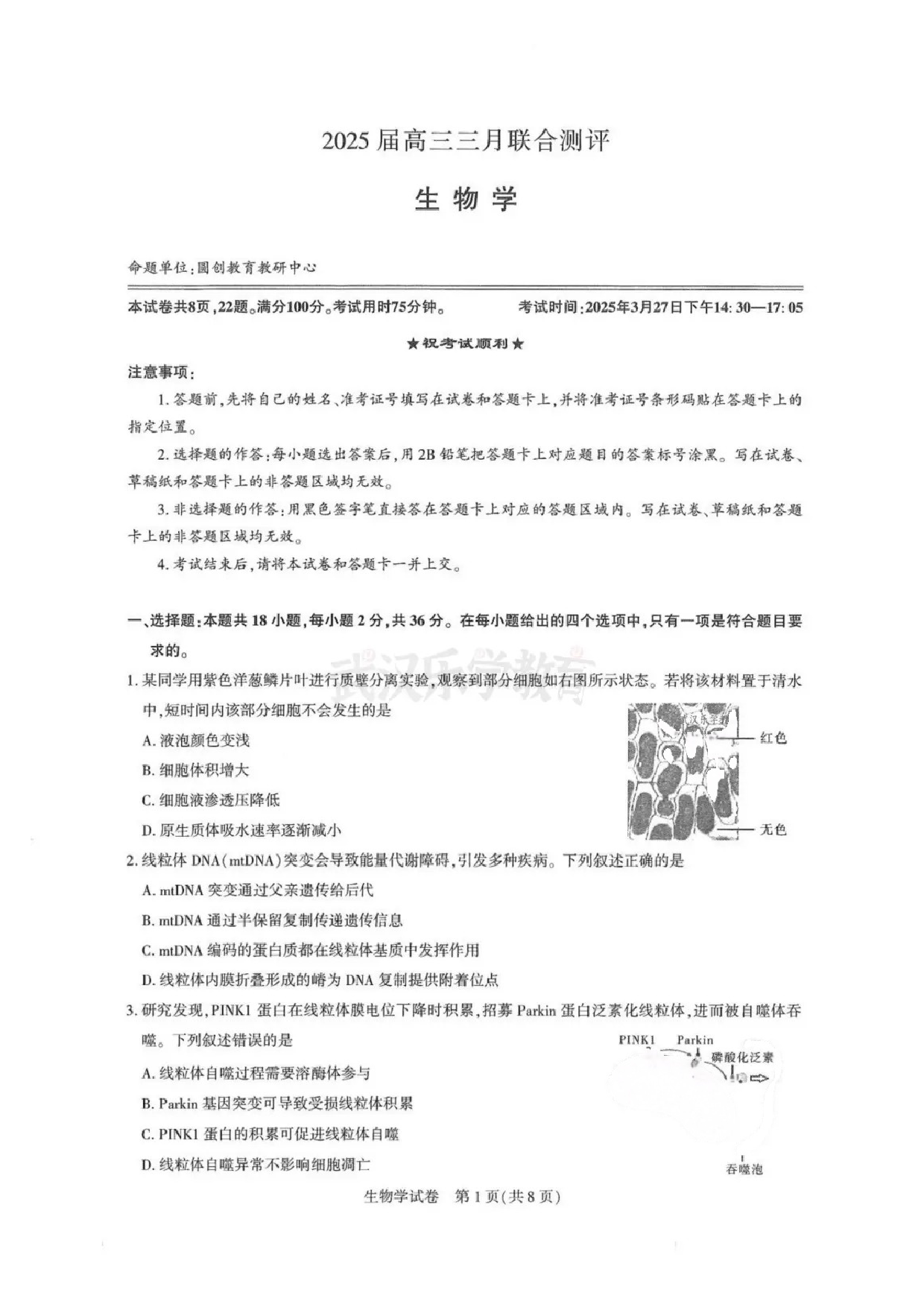 生物试题及答案 湖北圆创2025年高三三月联合测评.pdf 第1页