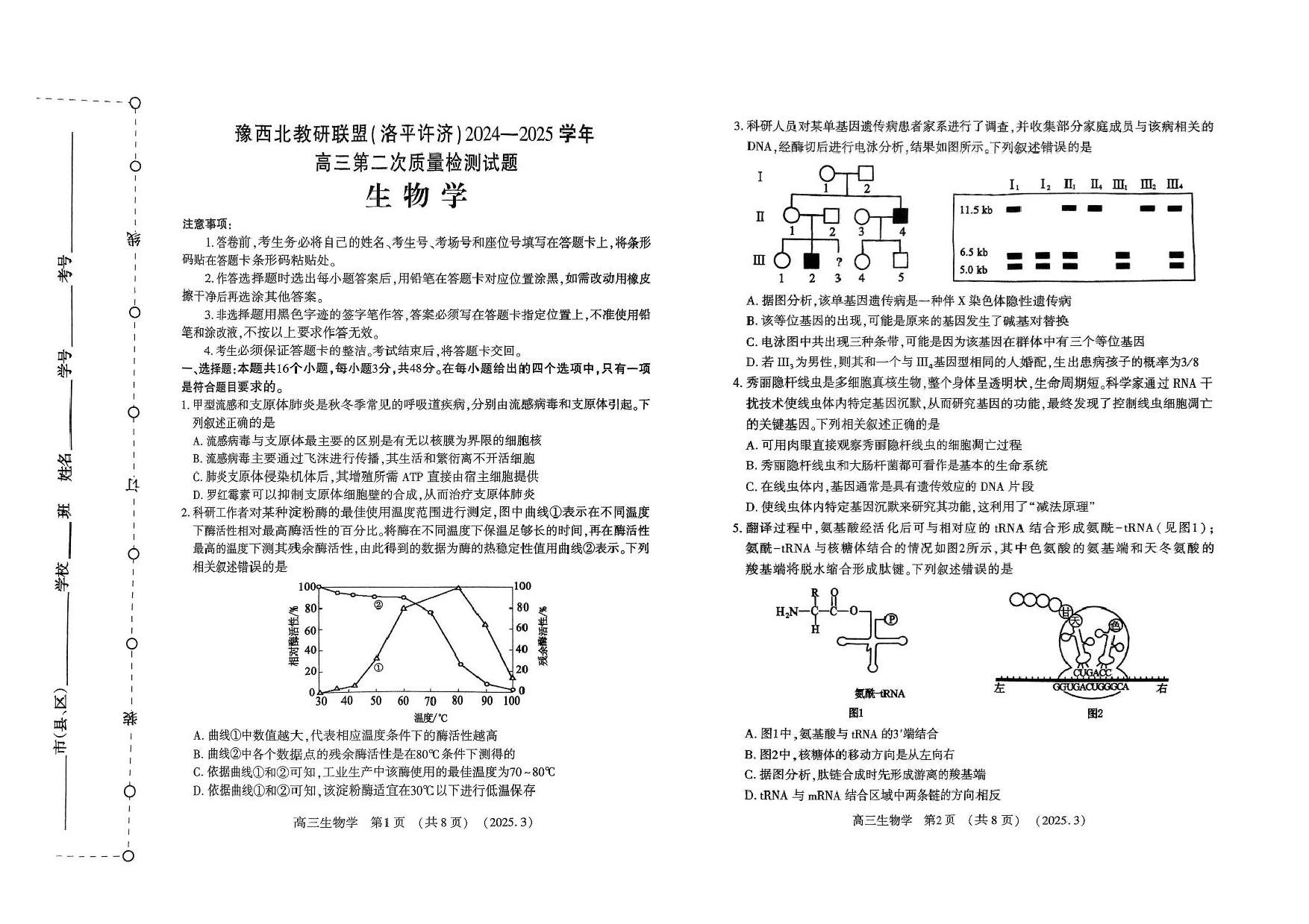 河南省豫西北教研联盟（洛平许济）2024-2025学年高三下学期第二次质量检测生物试卷+答案.pdf 第1页