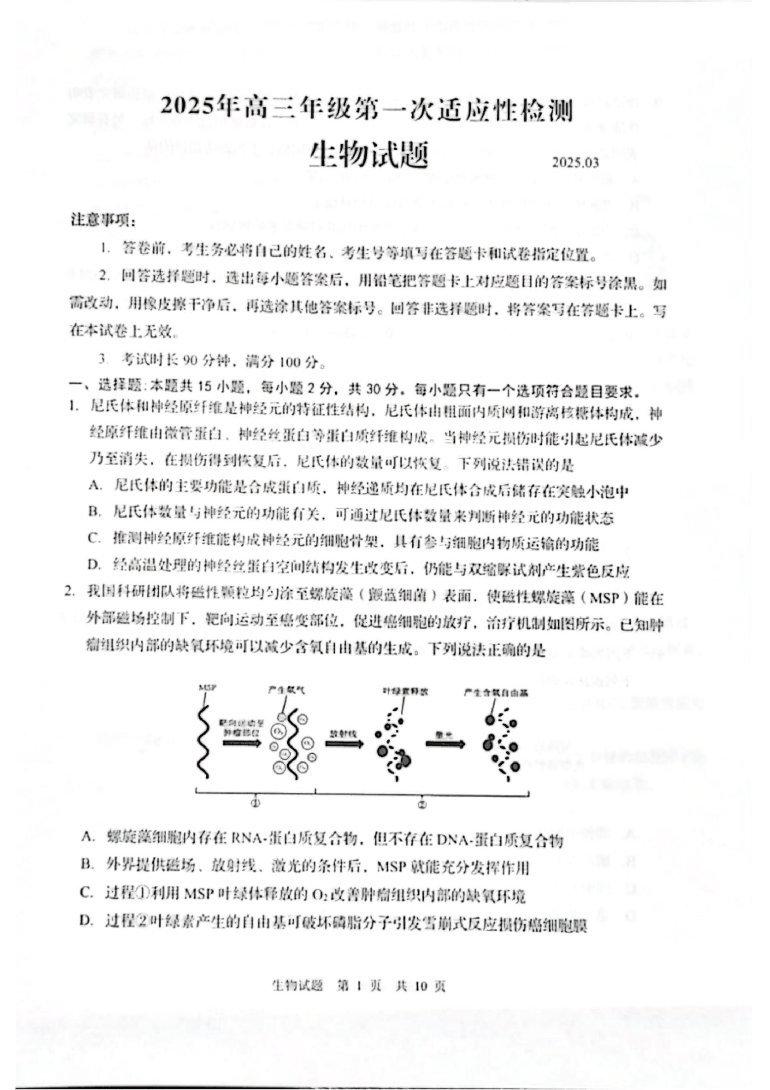 山东2025届高三青岛一模生物试题.pdf 第1页